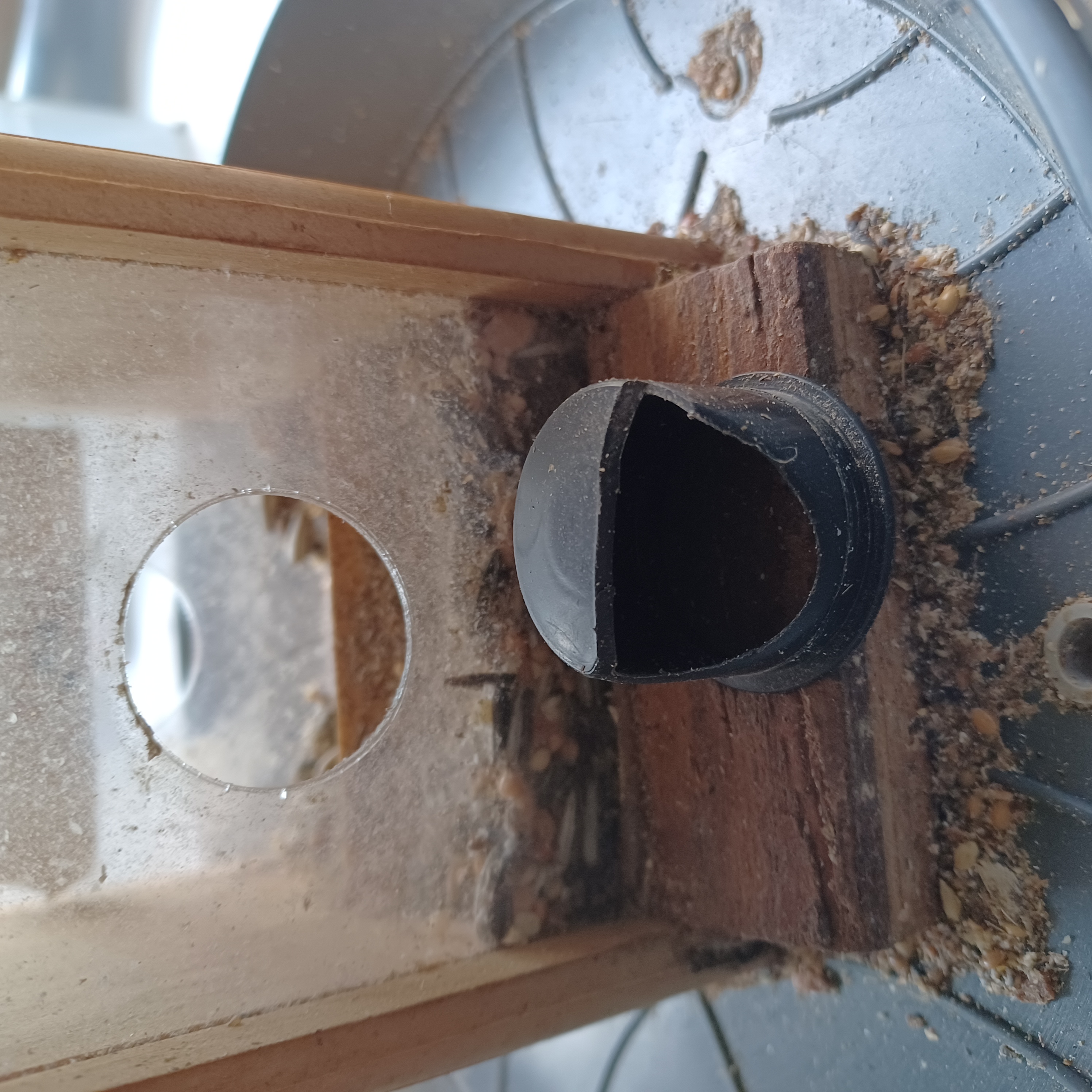 Birdfeeder Cup (Replacement) — thumbnail 3