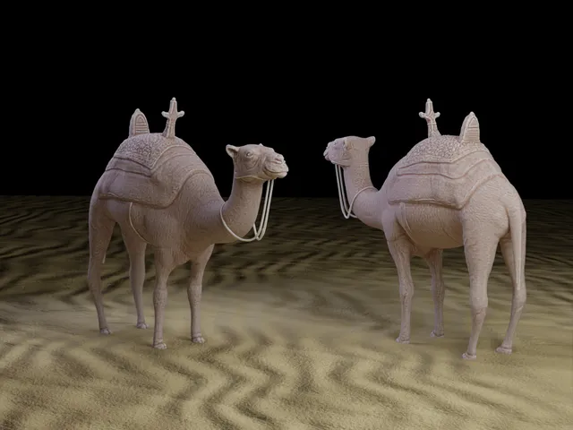 Camel
