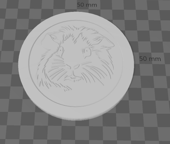 Guinea Pig Coaster