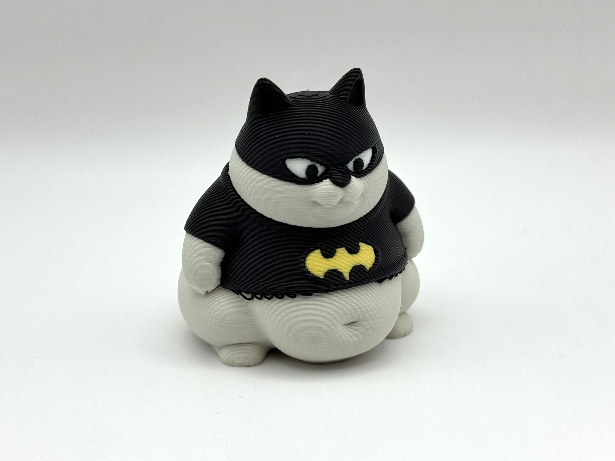 Chonk Hero Kitten