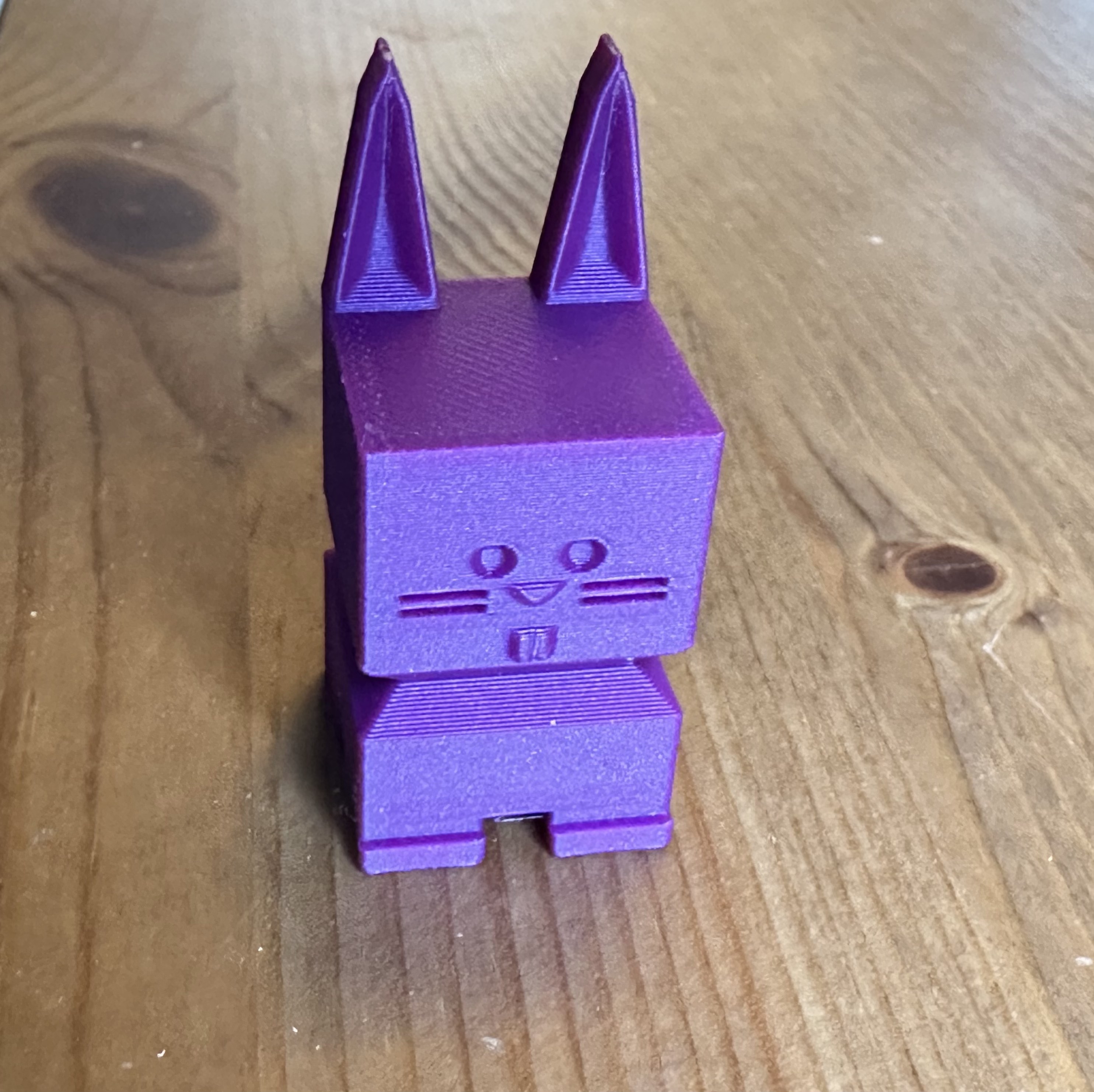 Calibration Bunny
