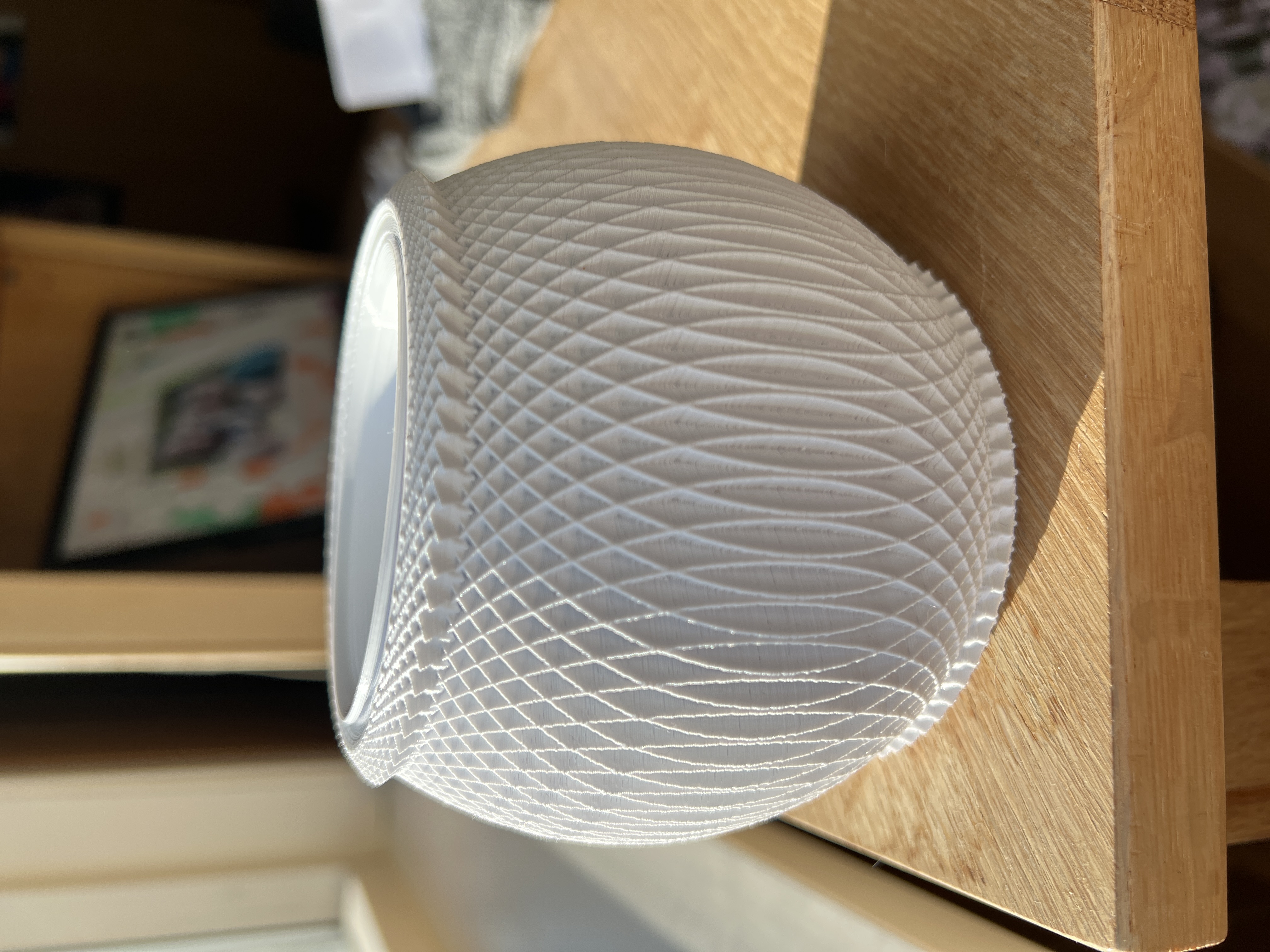 Plant Pot