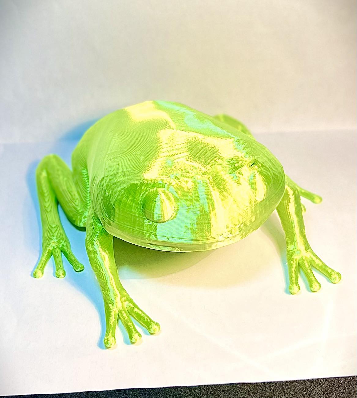 Green tree frog