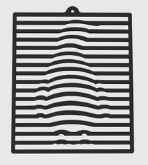 Penguin Illusion Wall Pictures