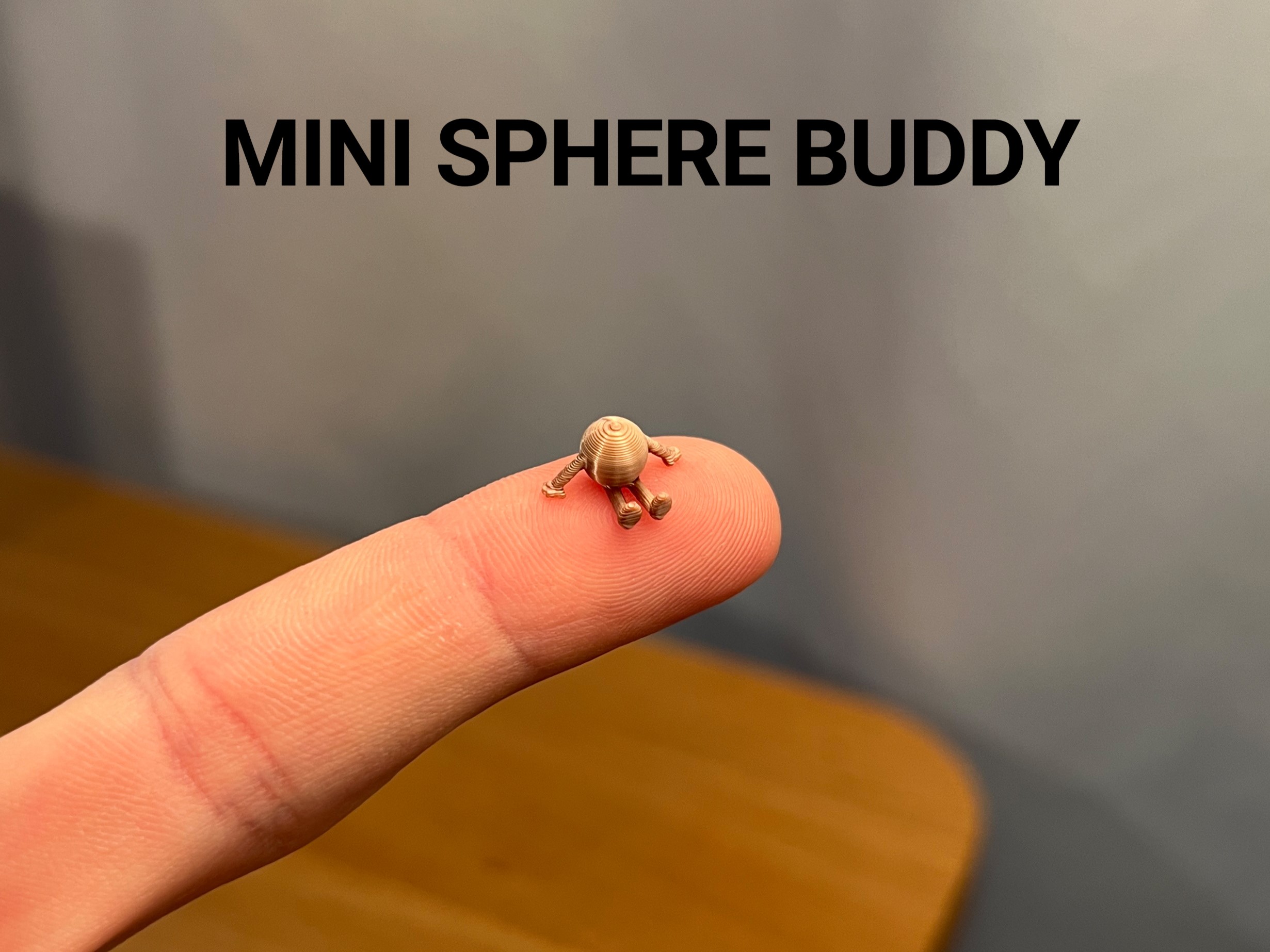 Mini Sphere Buddy
