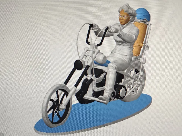 another Biker chick