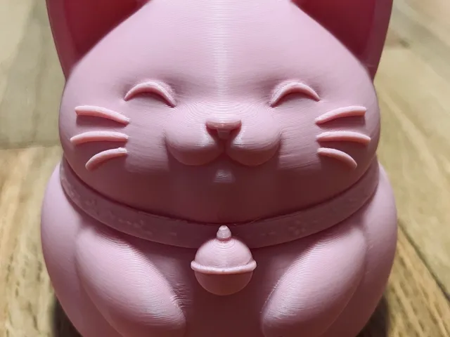 Cute Chubby Cat