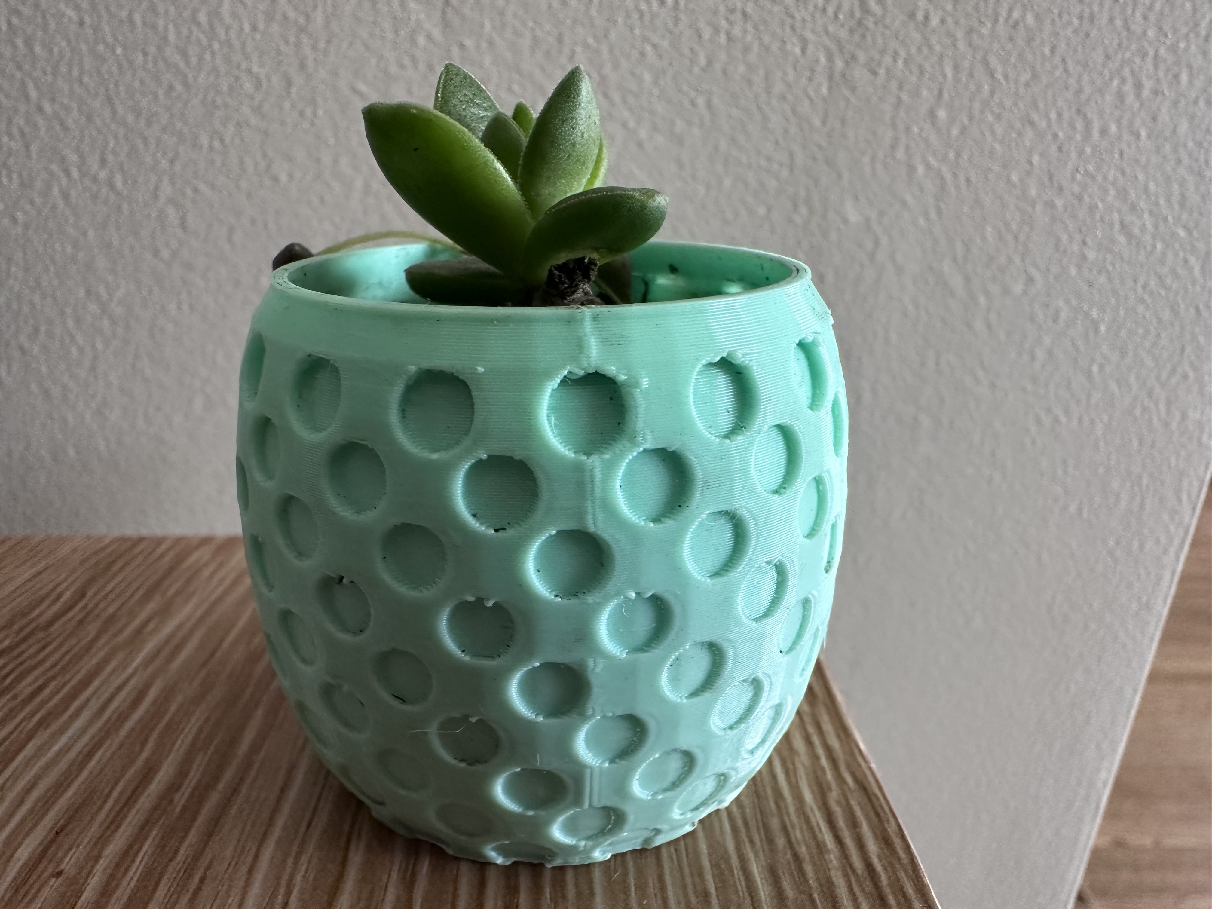 polka dots pot
