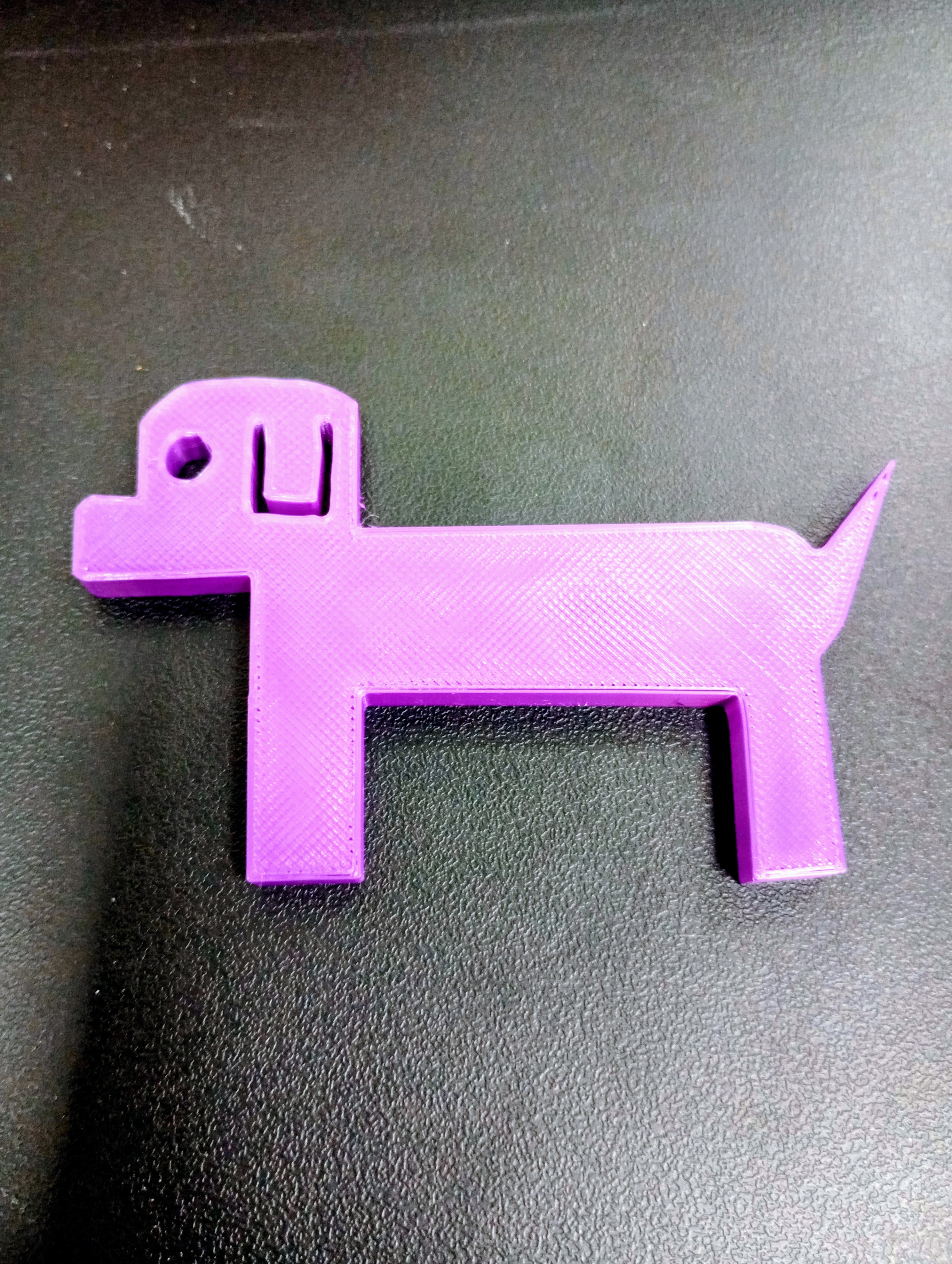 Kaylee - Dog
