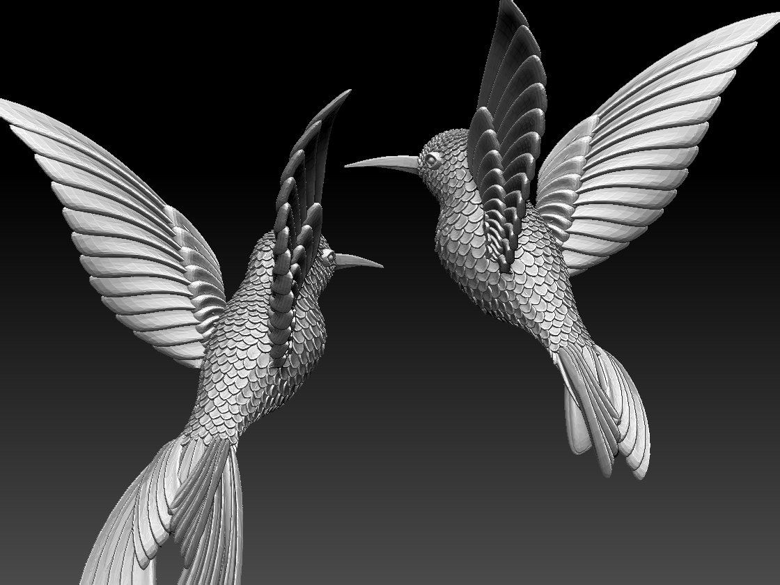 hummingbird — miniatura 9
