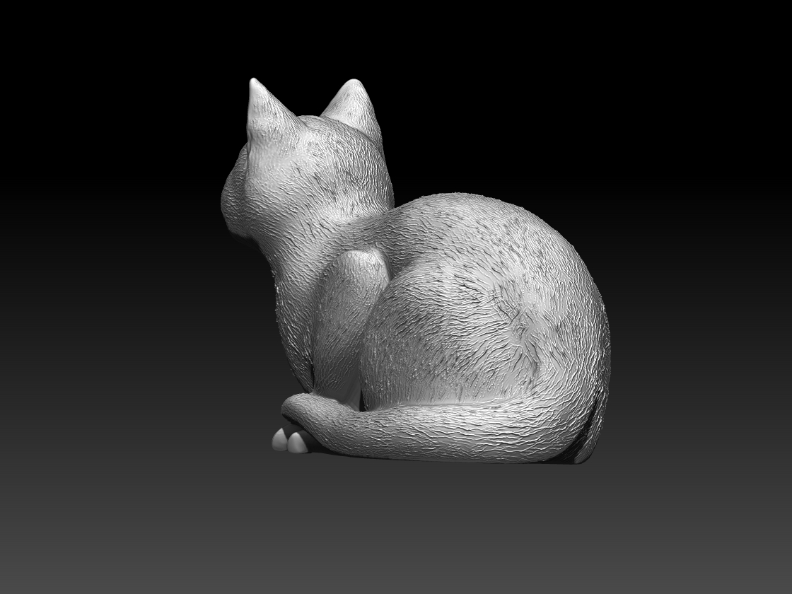 cats — thumbnail 11