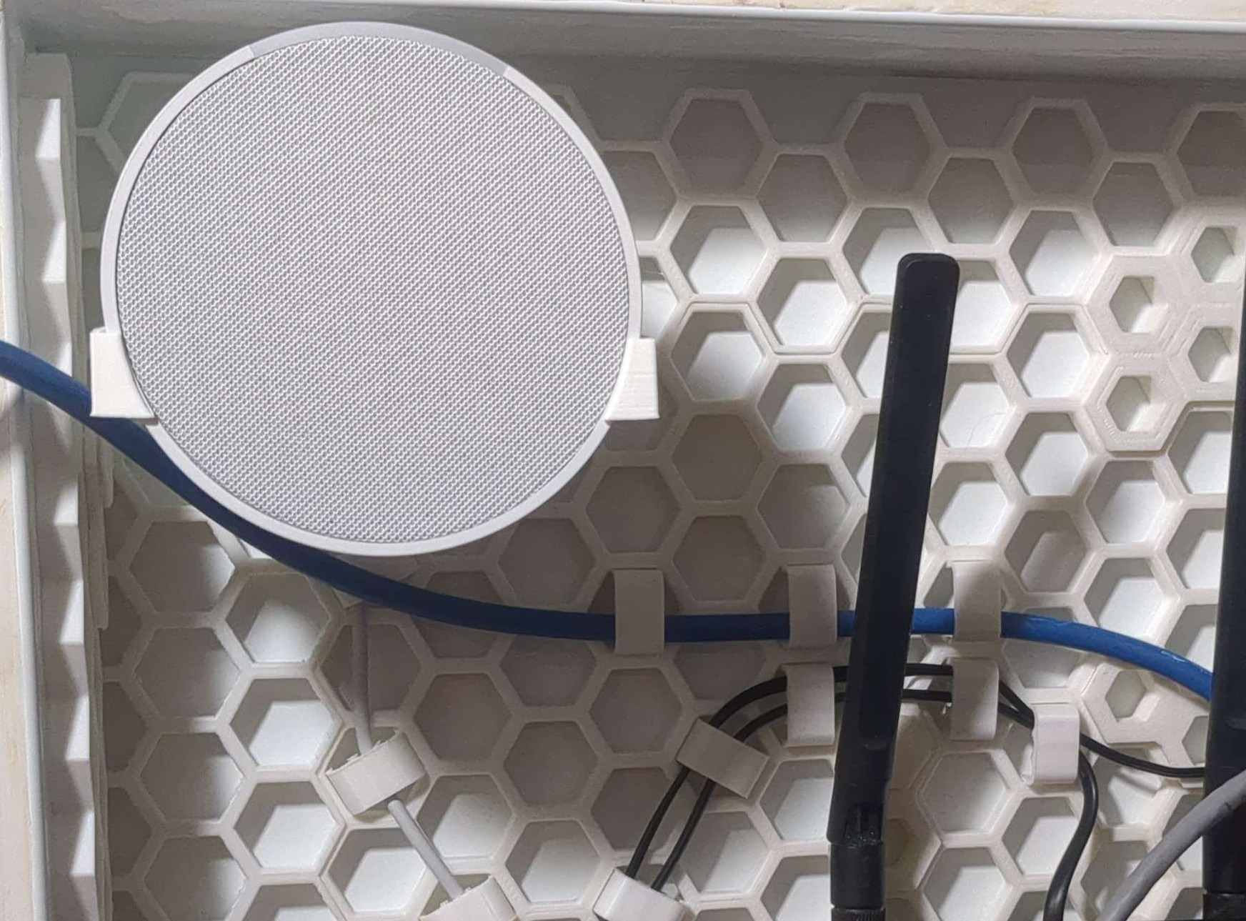 Echo Pop Wall Mount for Honeycomb storage wall