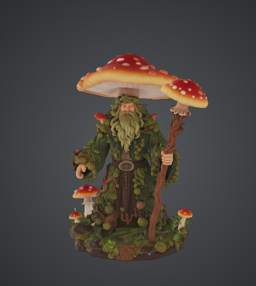 Forest Druid Mushroom Wizard
