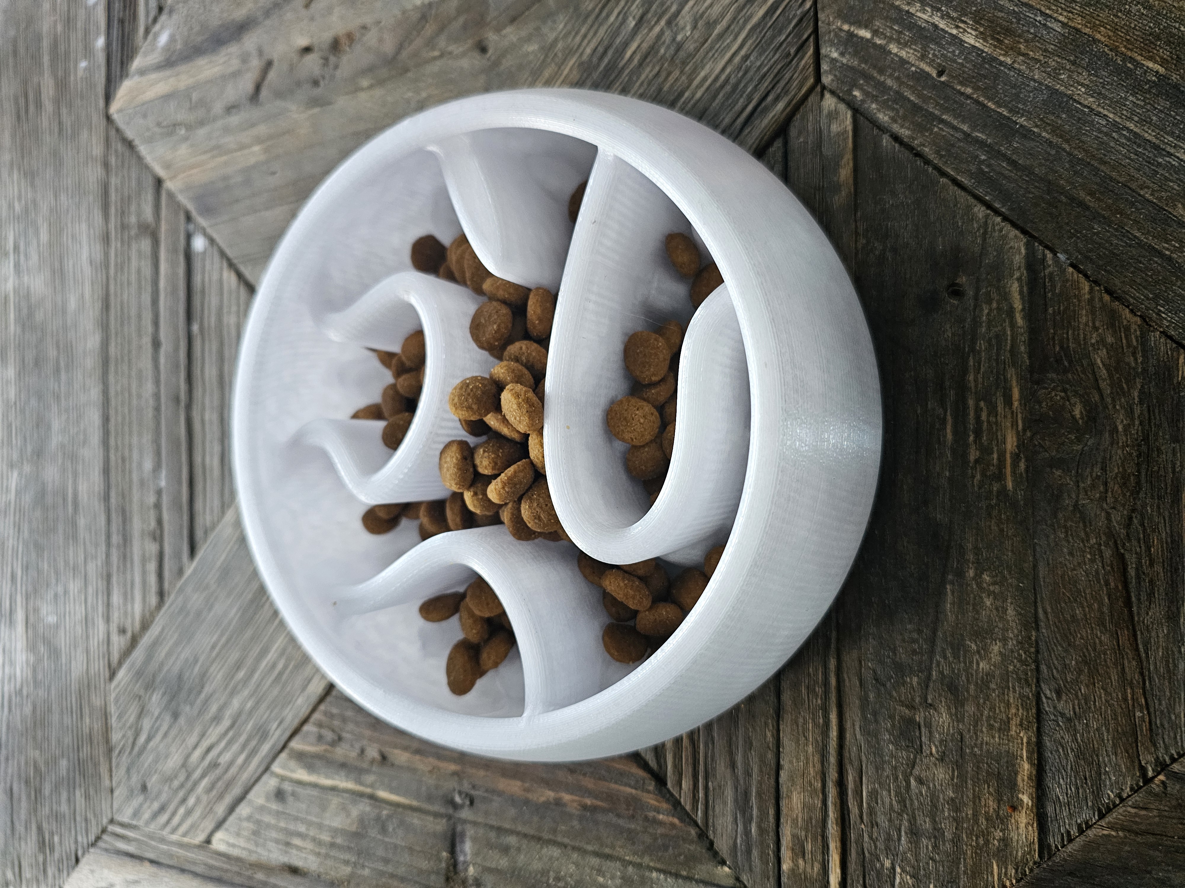 Slow Dog Feeder Puzzle [Easy/Puppy]