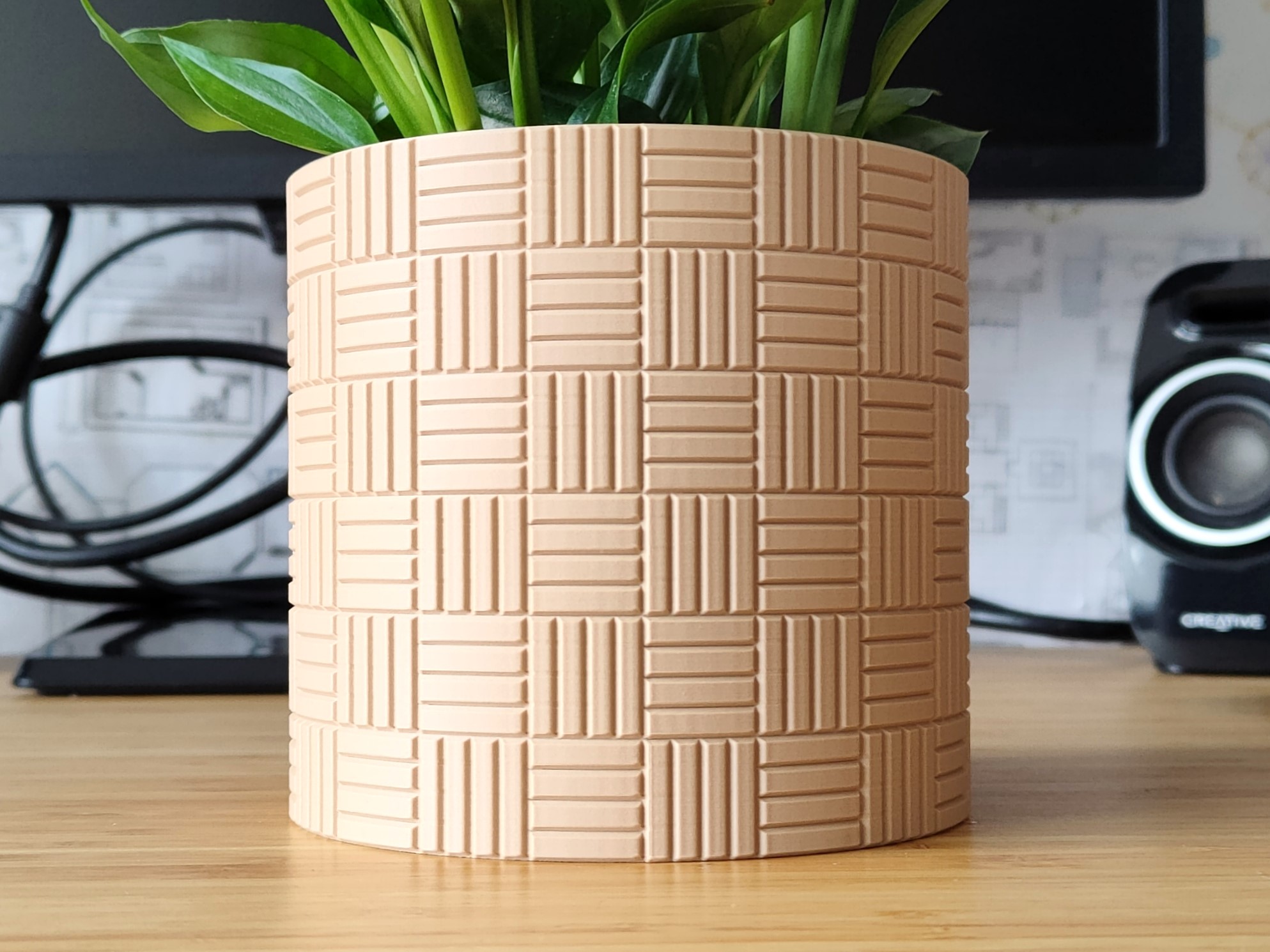 Checker Plant pot and Planter - Vase mode design