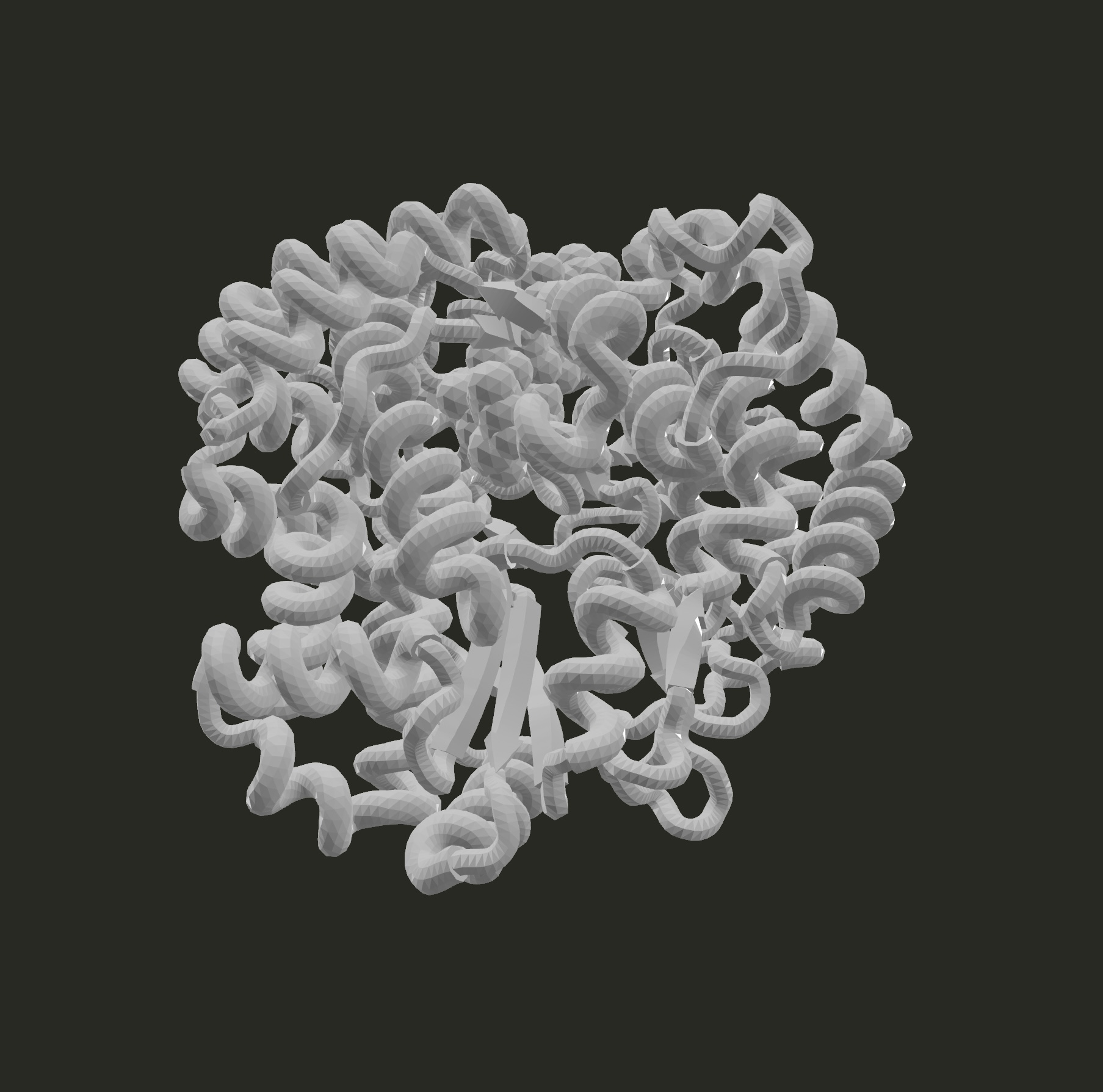 RNA-Polymerase model