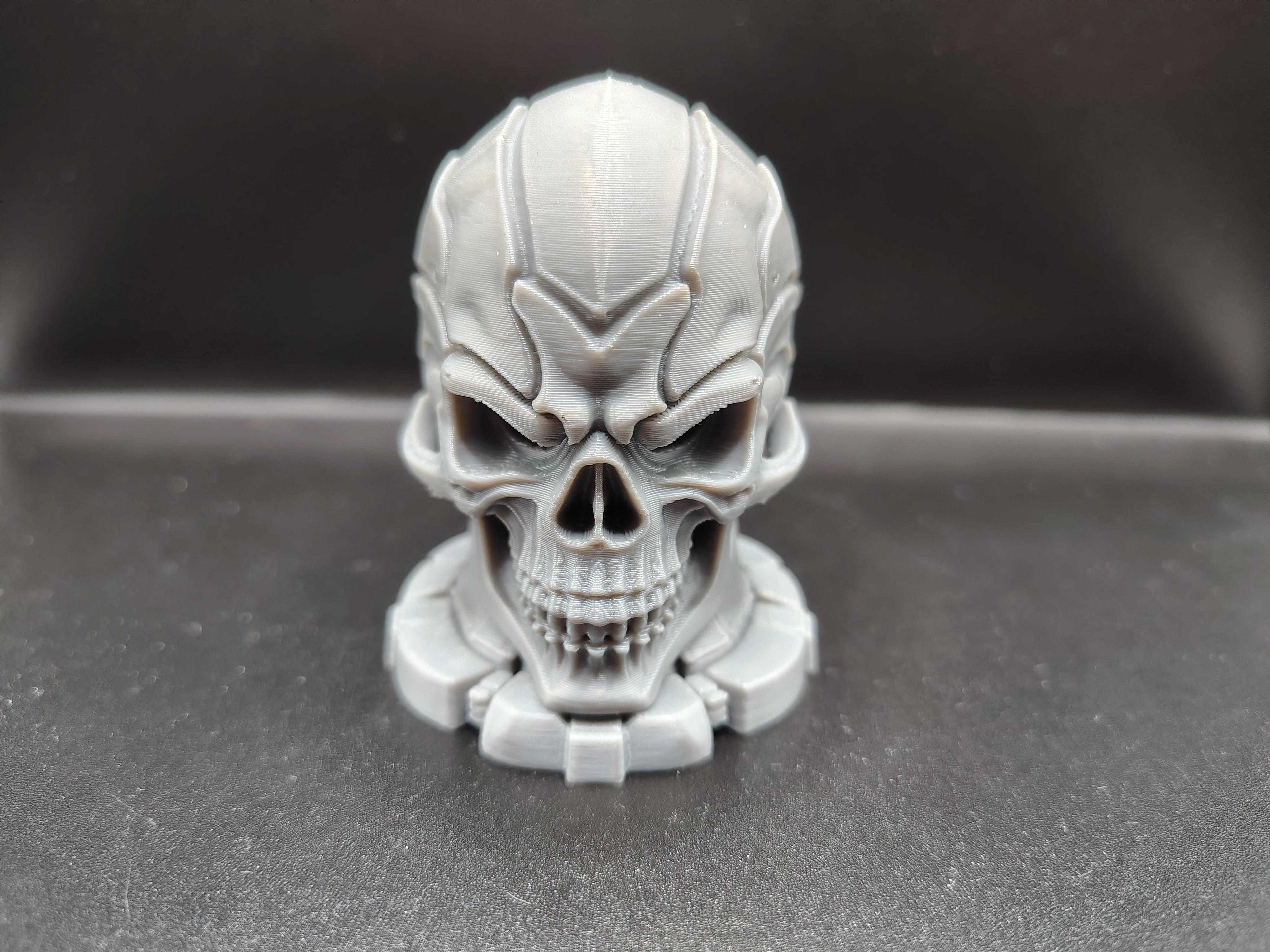 CRAZY Cyber Warrior Skull
