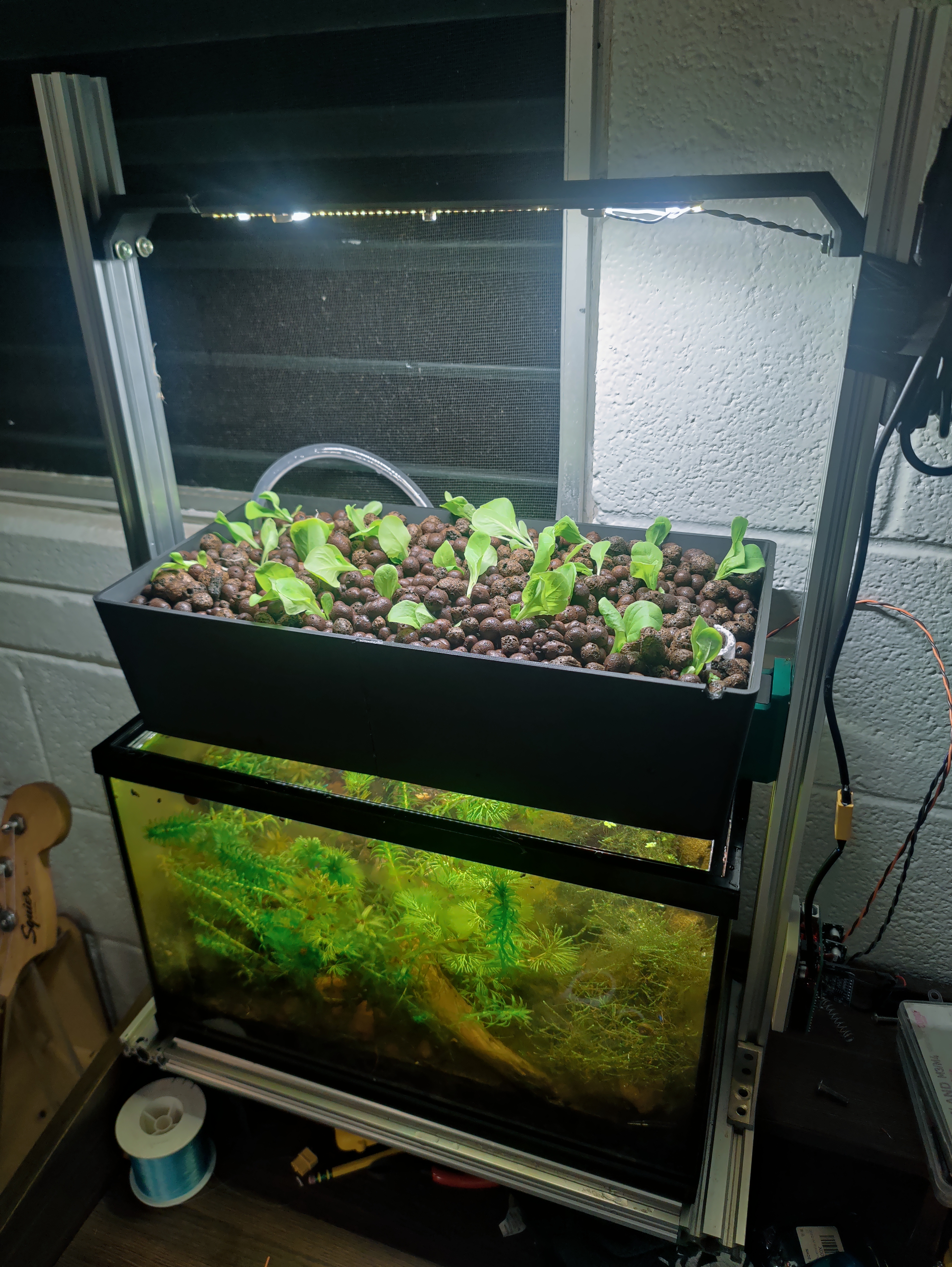 Desktop Aquaponic Garden