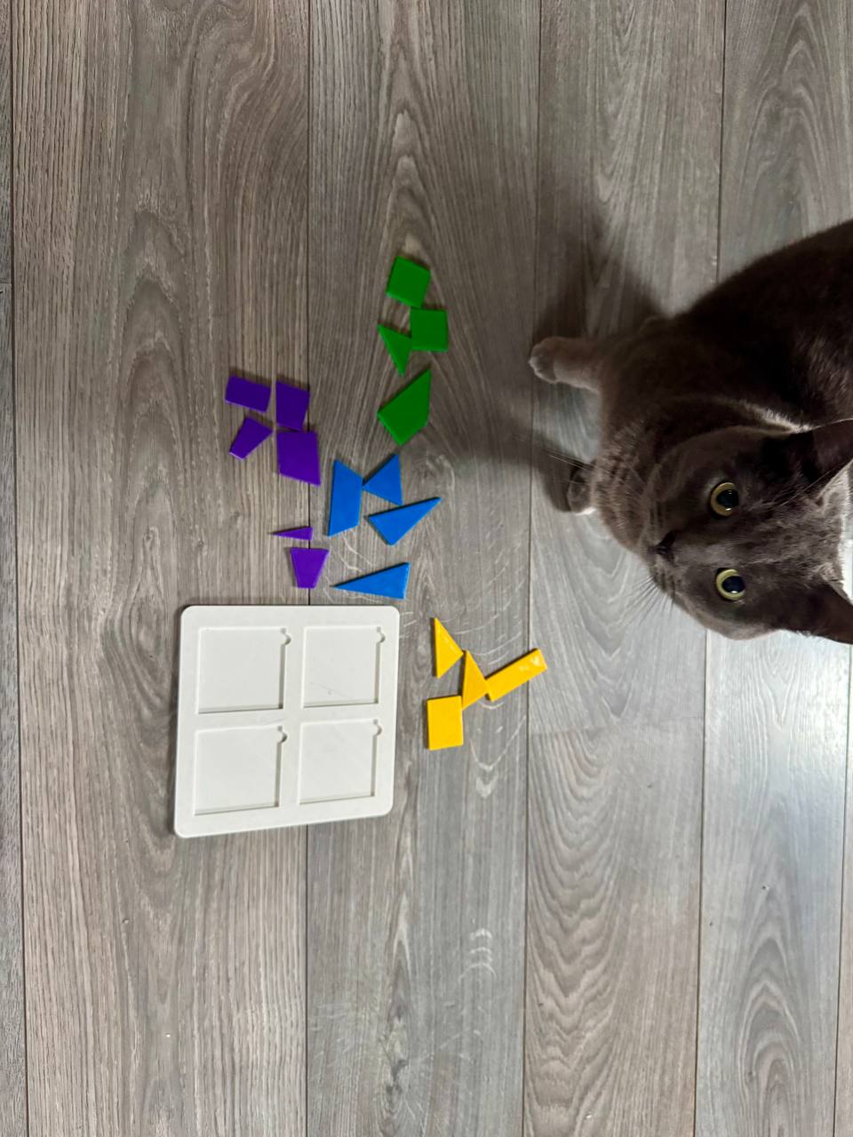 Square shaped puzzle for toddlers and not only them.