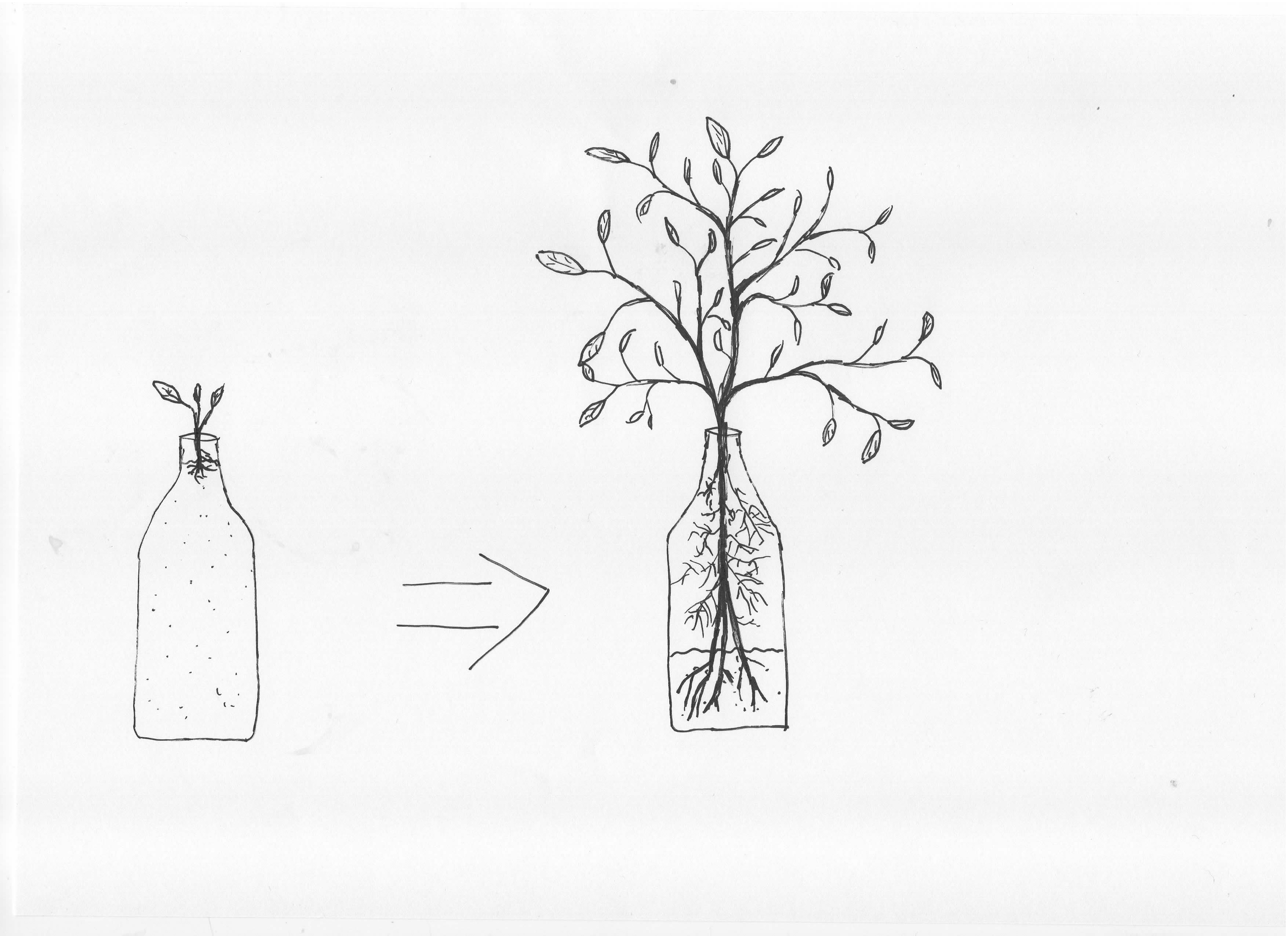 Hydroponic Kratky Bottle Adapter - Vase mode ultrafast — thumbnail 2