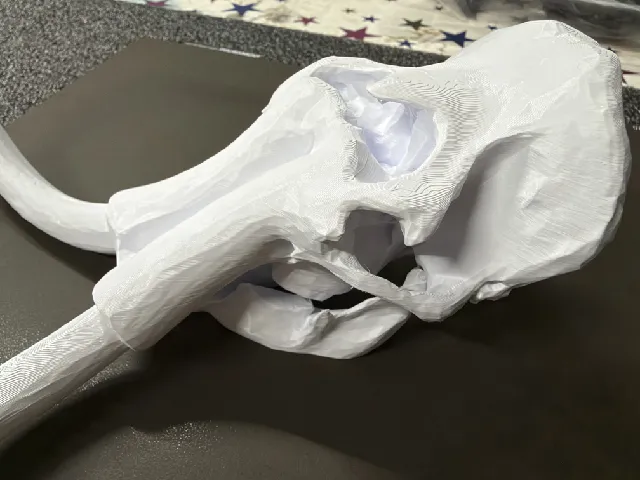 Woolly mammoth skull from Smithsonian Museum