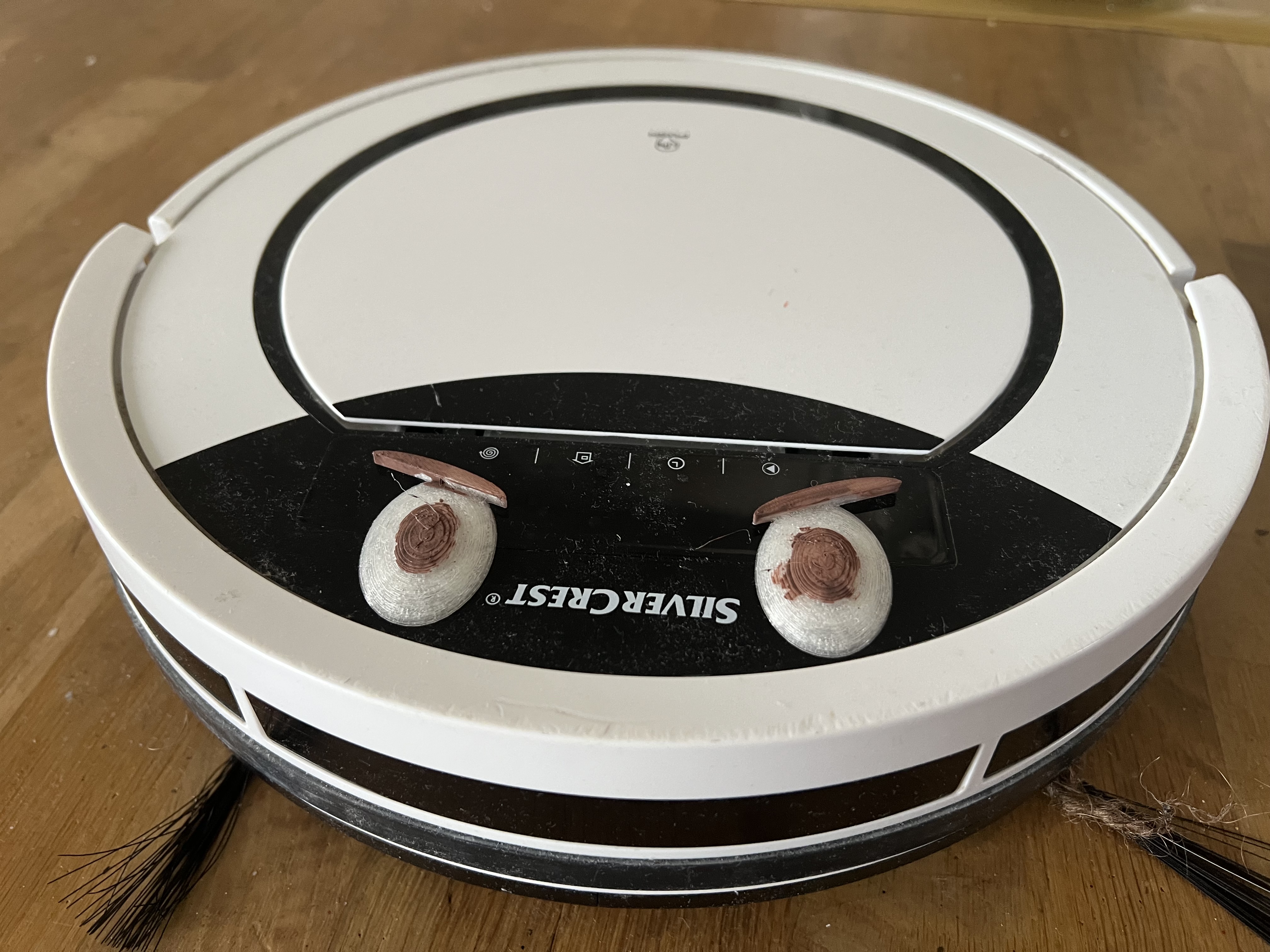 Robot vacuum eyes