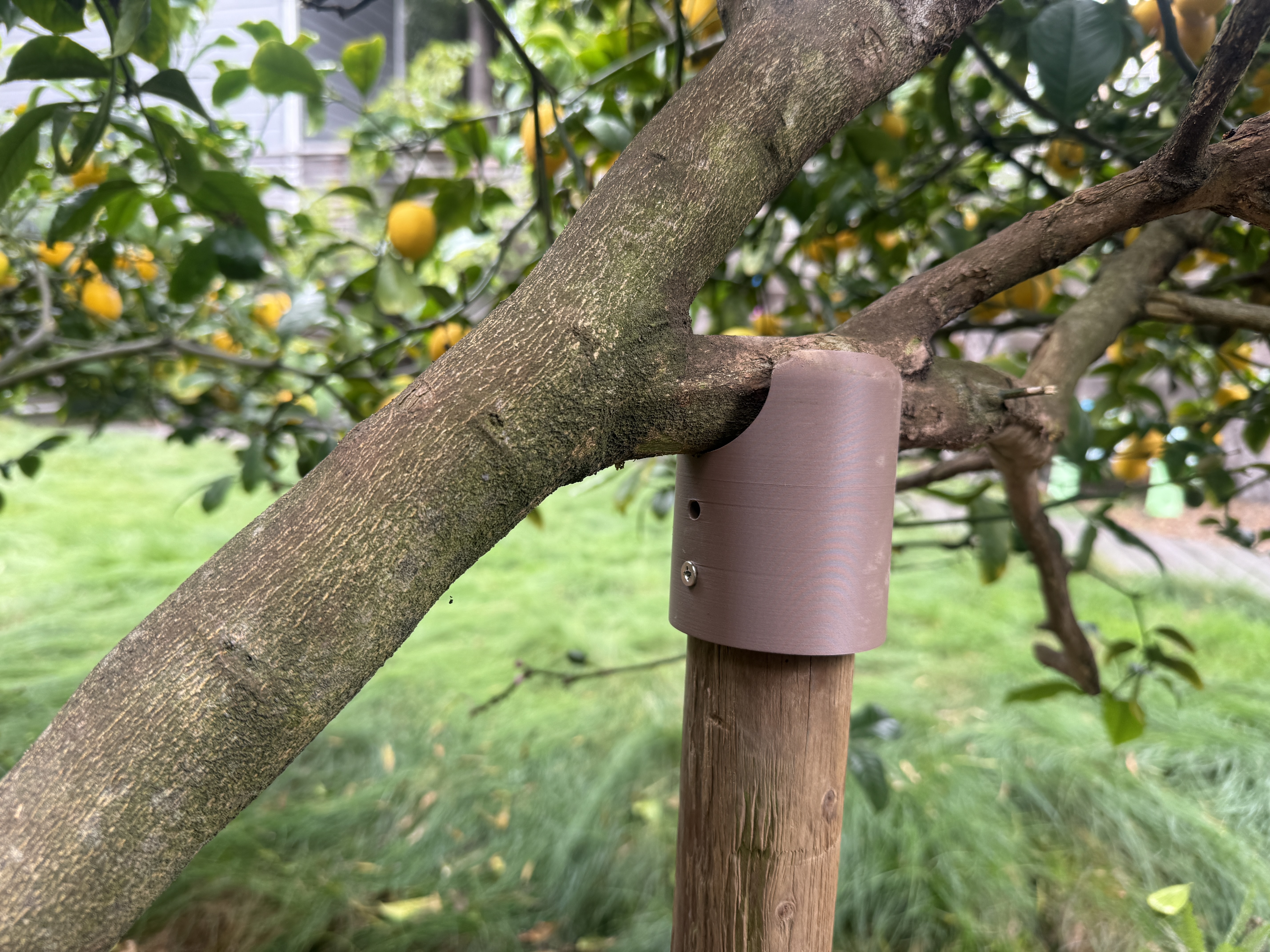 Tree Branch Support for round wood poles - Parametric OpenSCAD