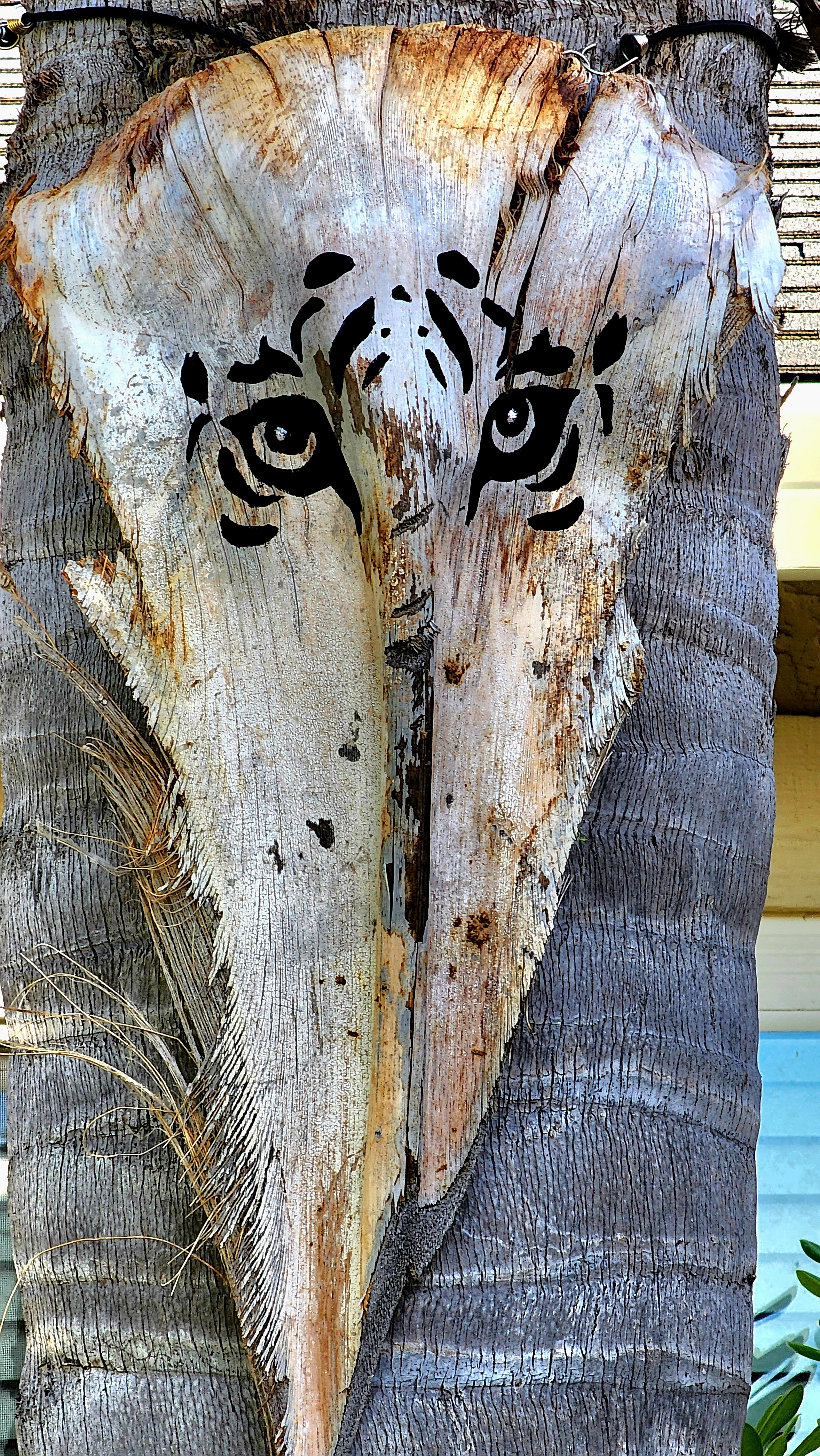 Tiger Eyes Stencil