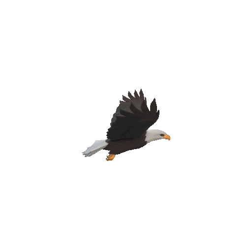 Miniatura 2 do modelo 3D Low poly eagle in flight