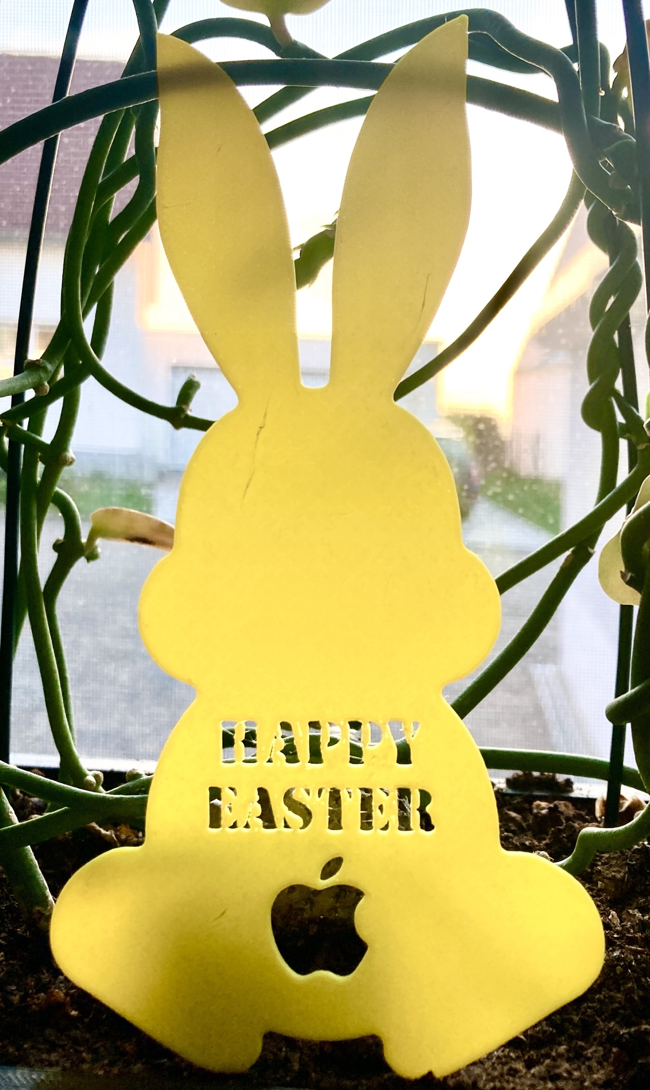 Osterhase