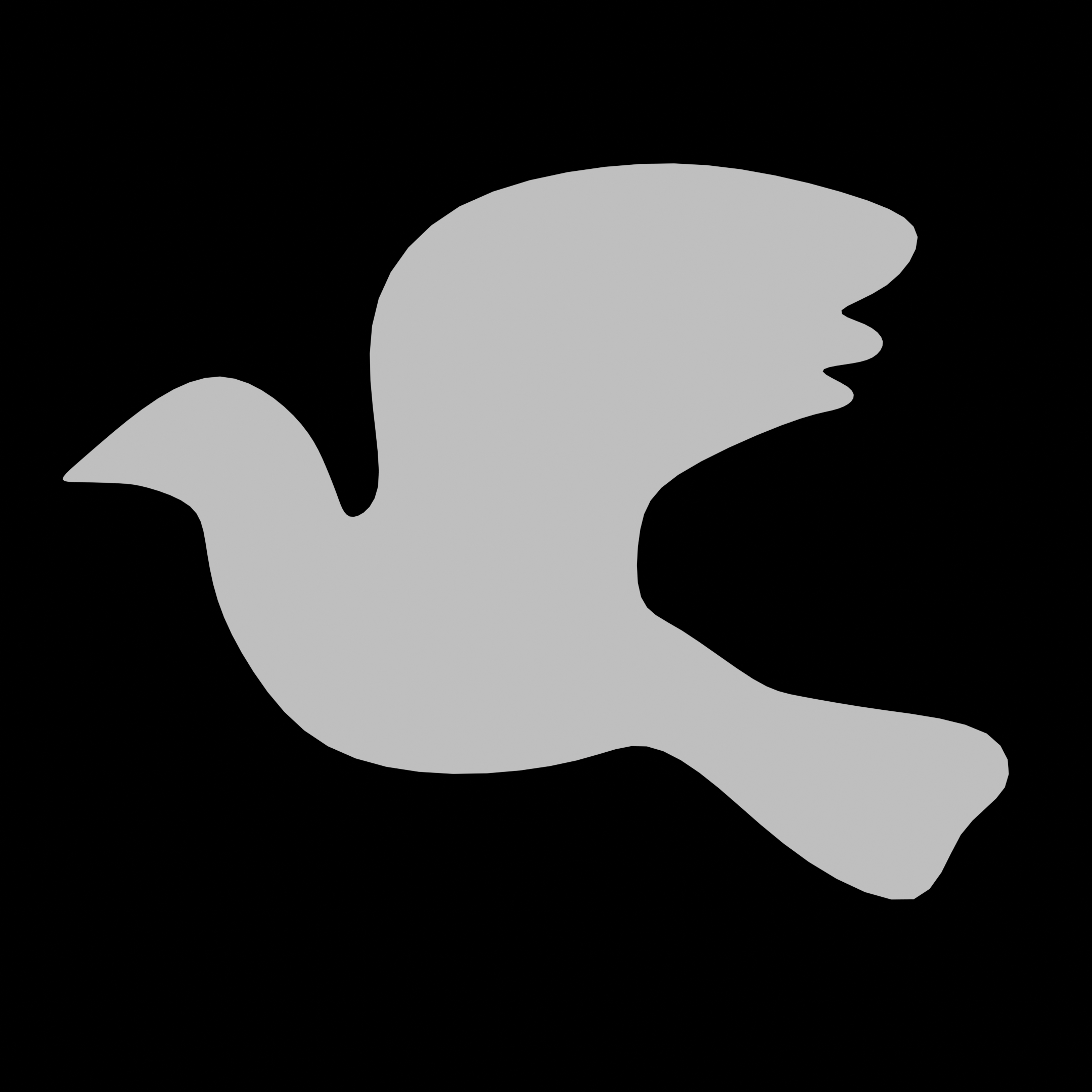 Bird silhouette