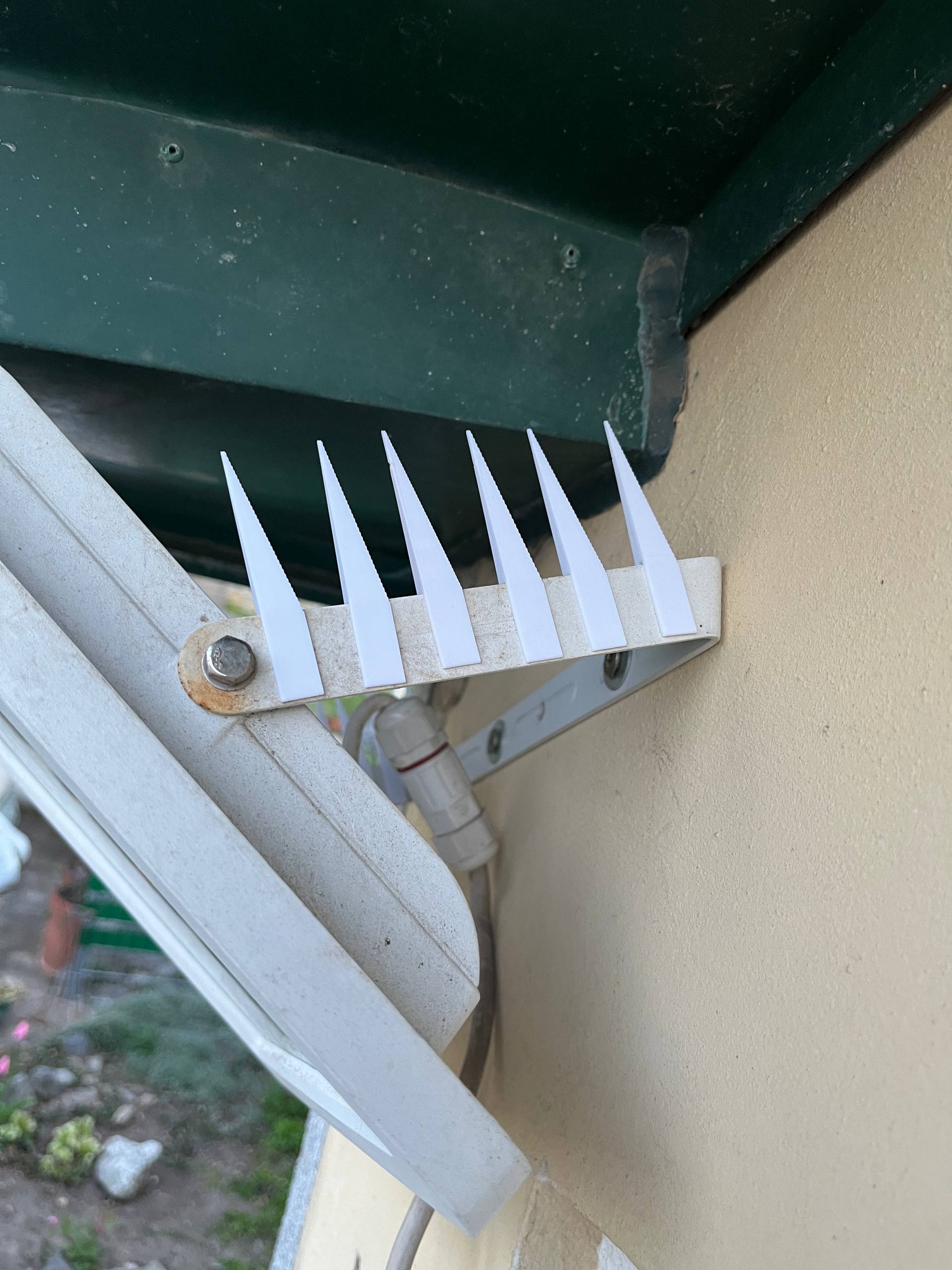 Anti Dove/Pigeon spike