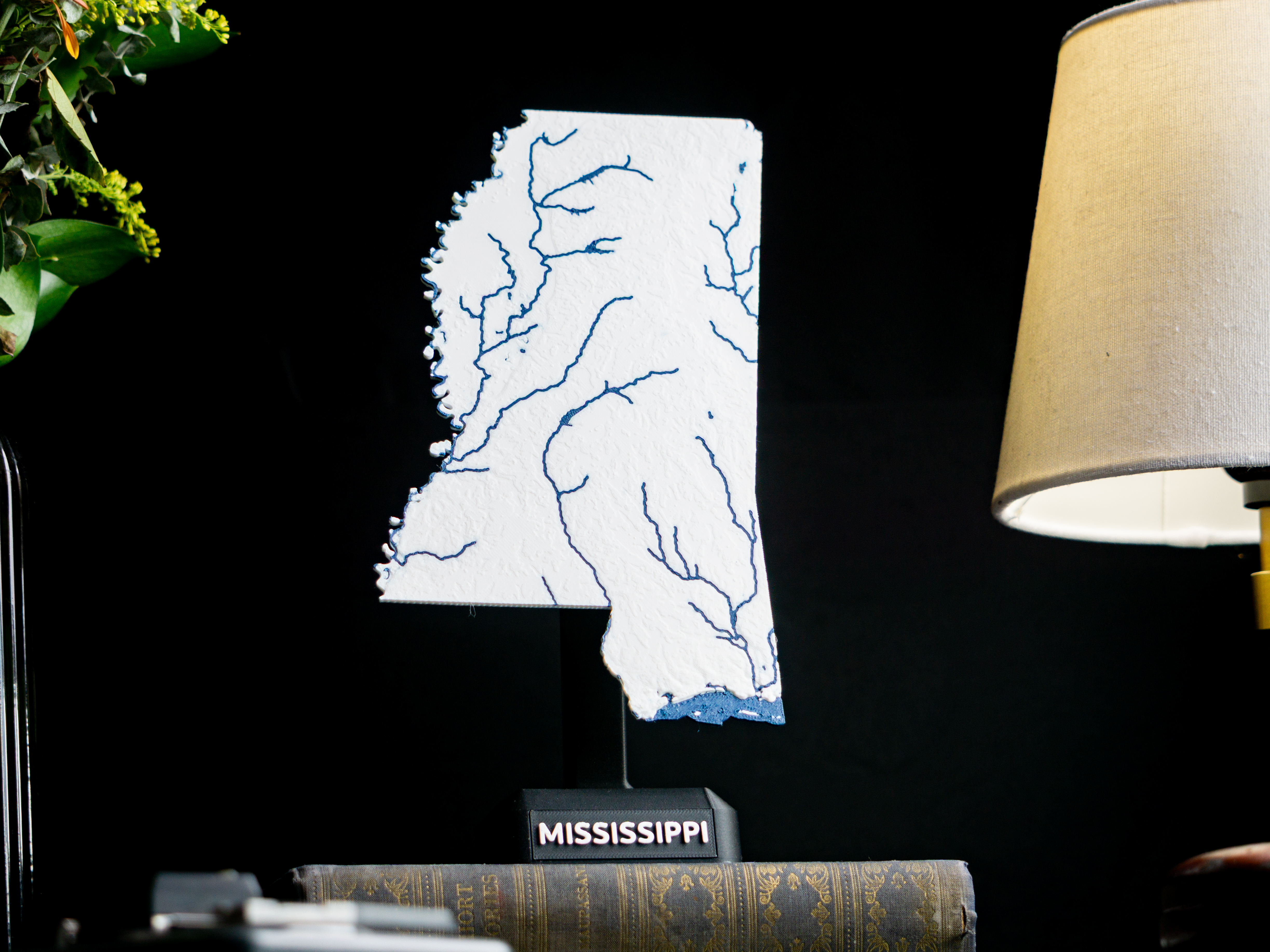 Mississippi, USA (MS) Topographic Map with Rivers