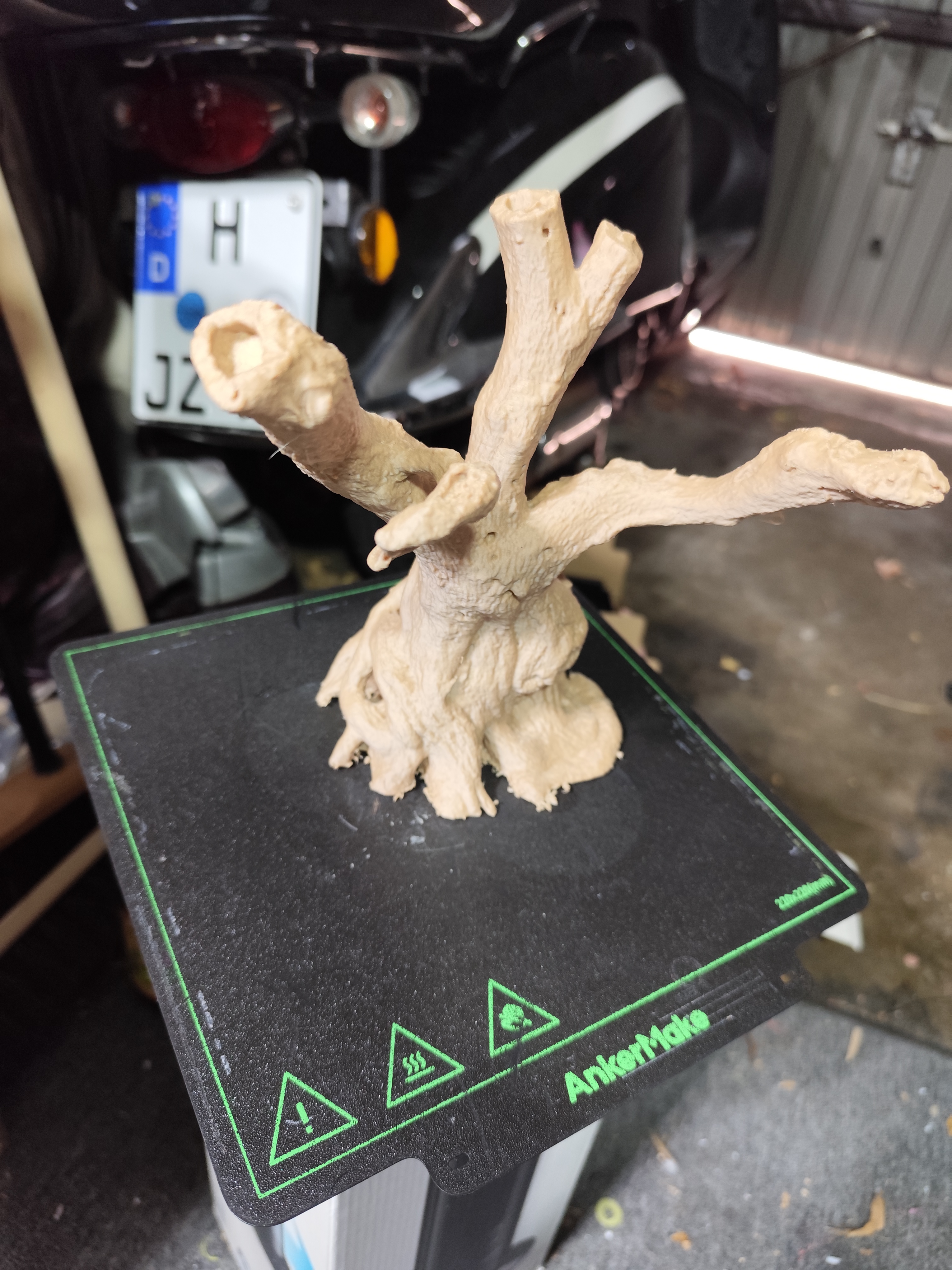 olive tree — thumbnail 2