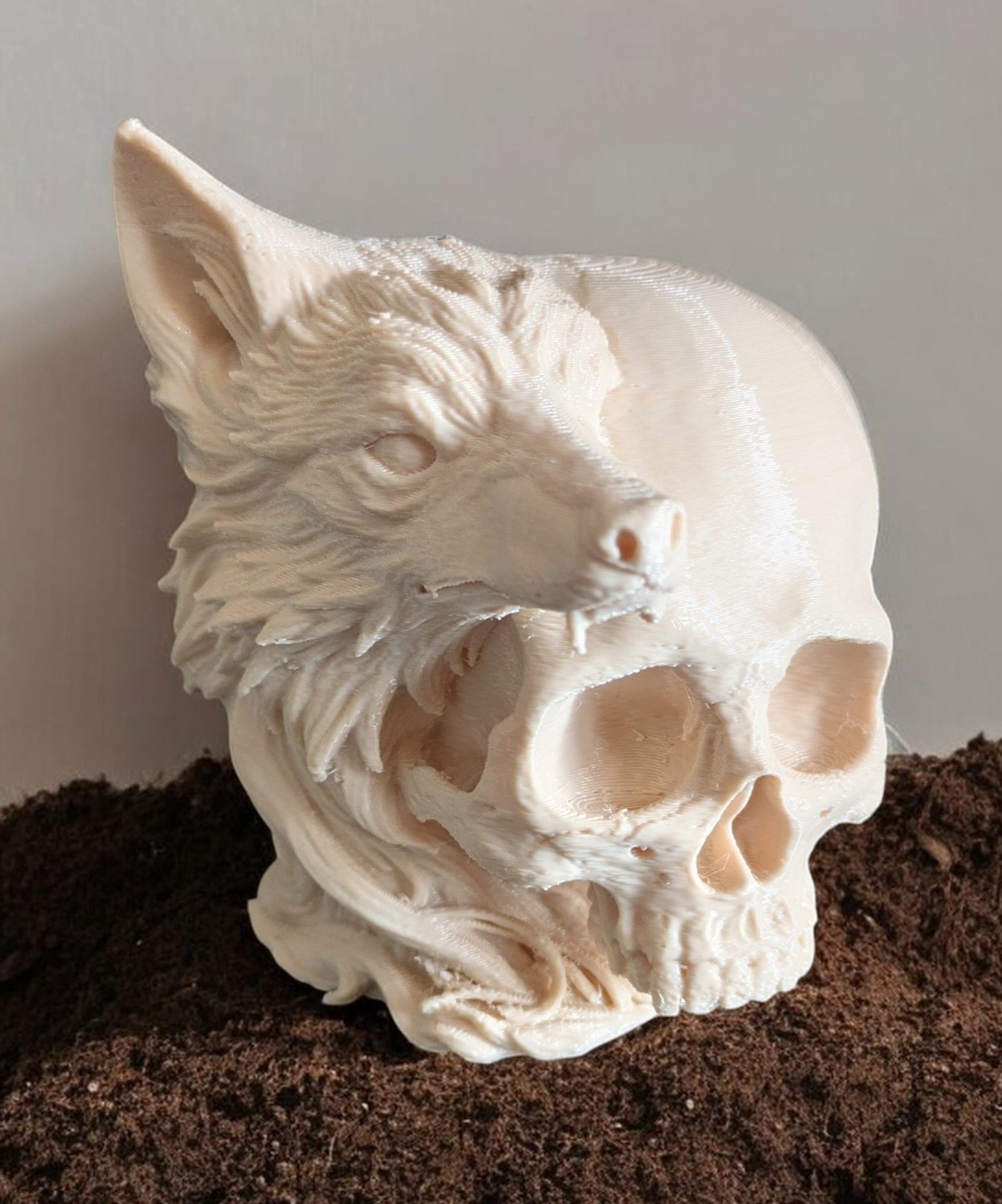 Wolf-Human-Skull