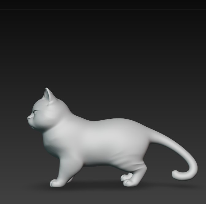 Miniatura 3 do modelo 3D angry cat