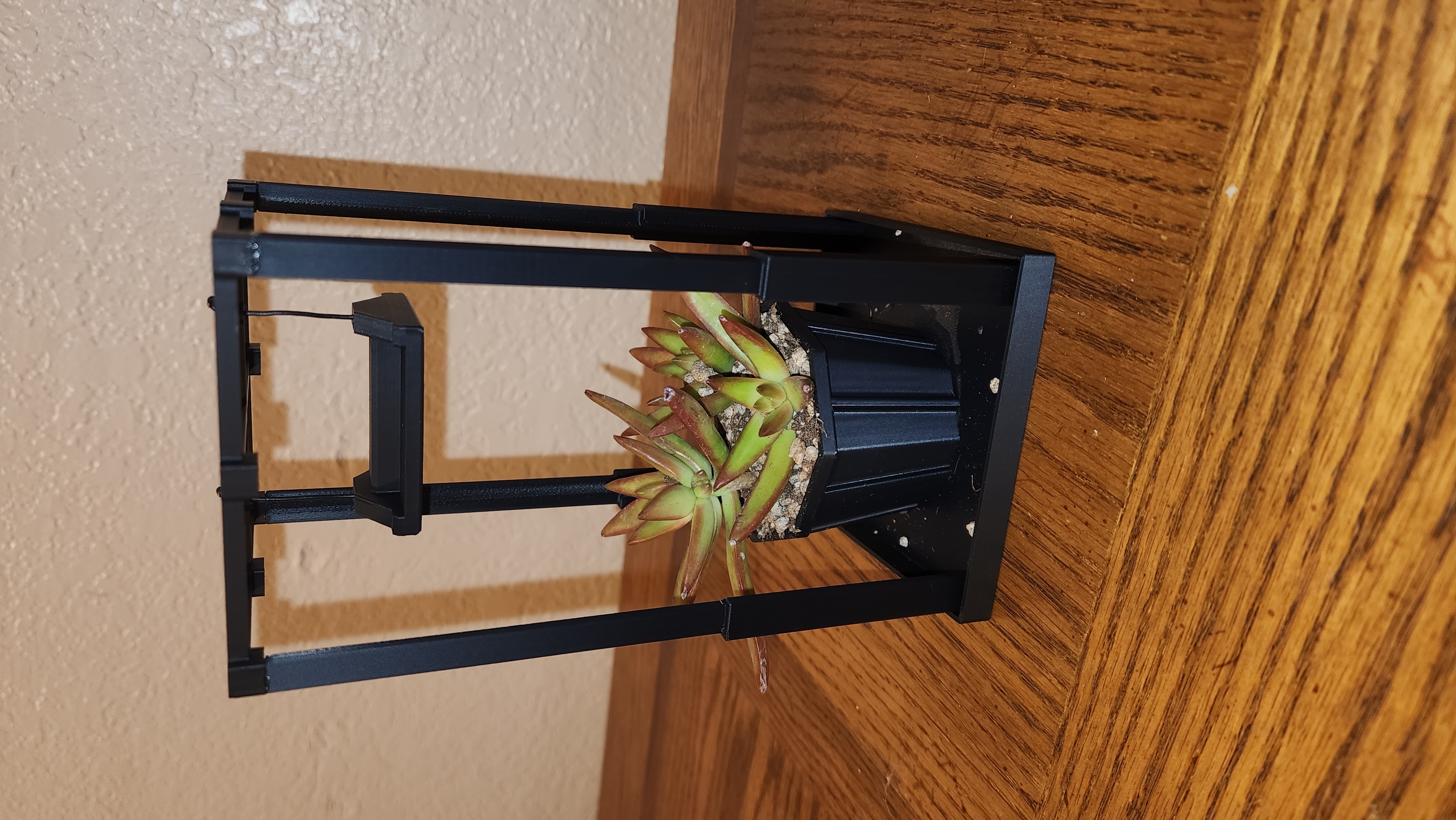 Schedule 1 Succulent Pot/Grow Rack