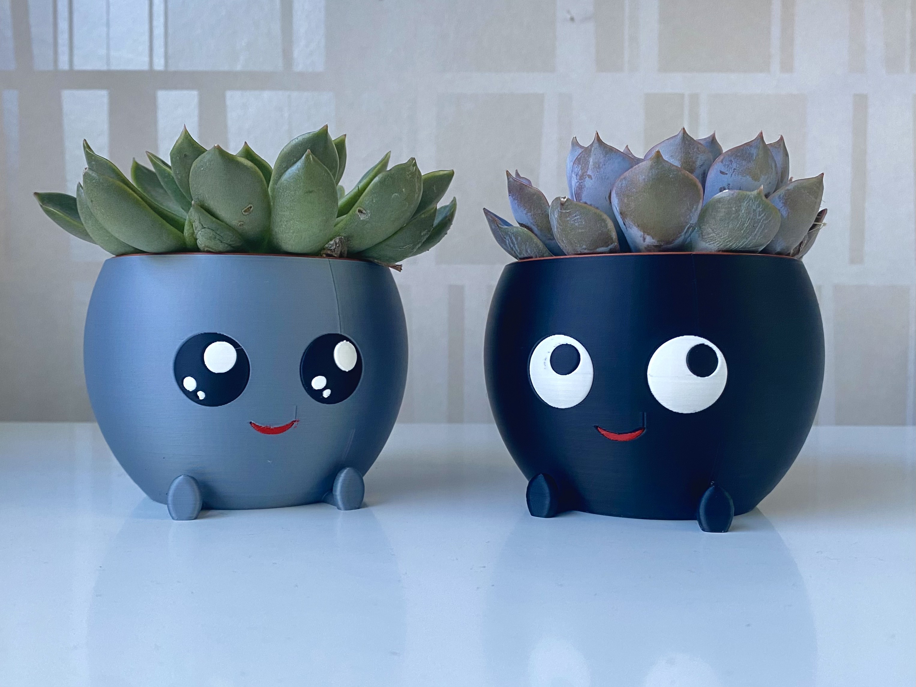 BuddyPot