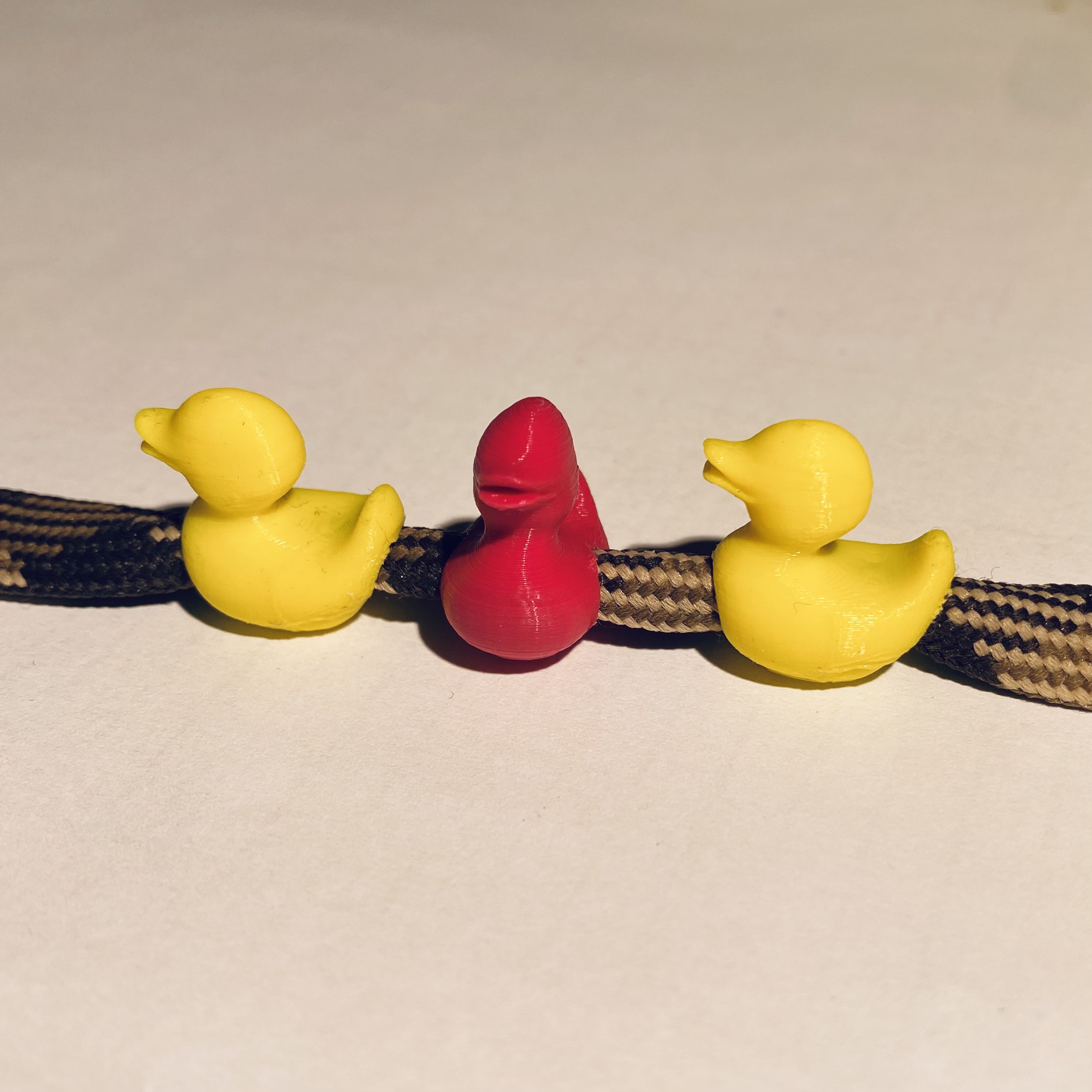 Enten