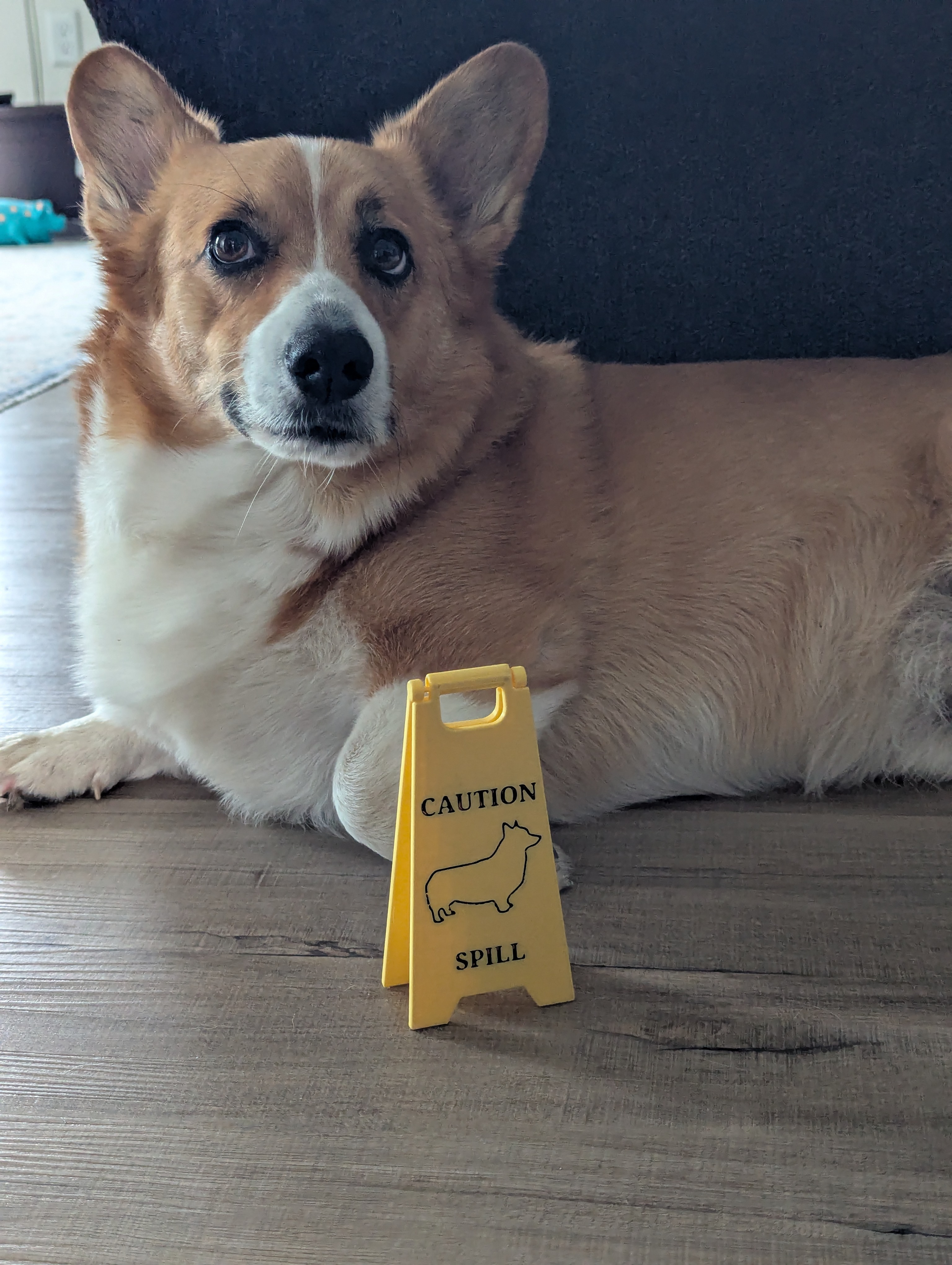 Corgi Spill Caution Sign Print-in-Place