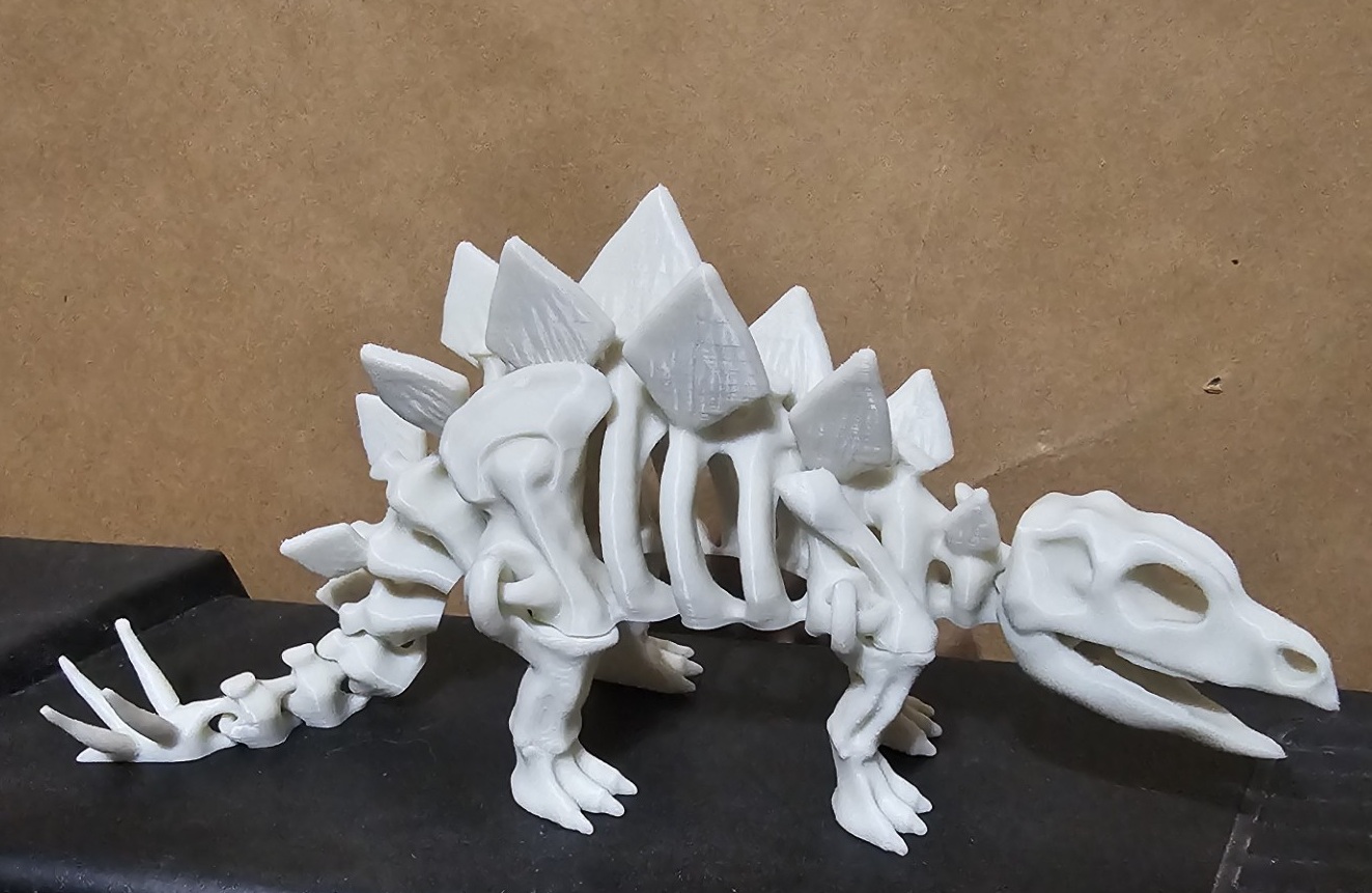 Articulated dinosaur skeleton 3