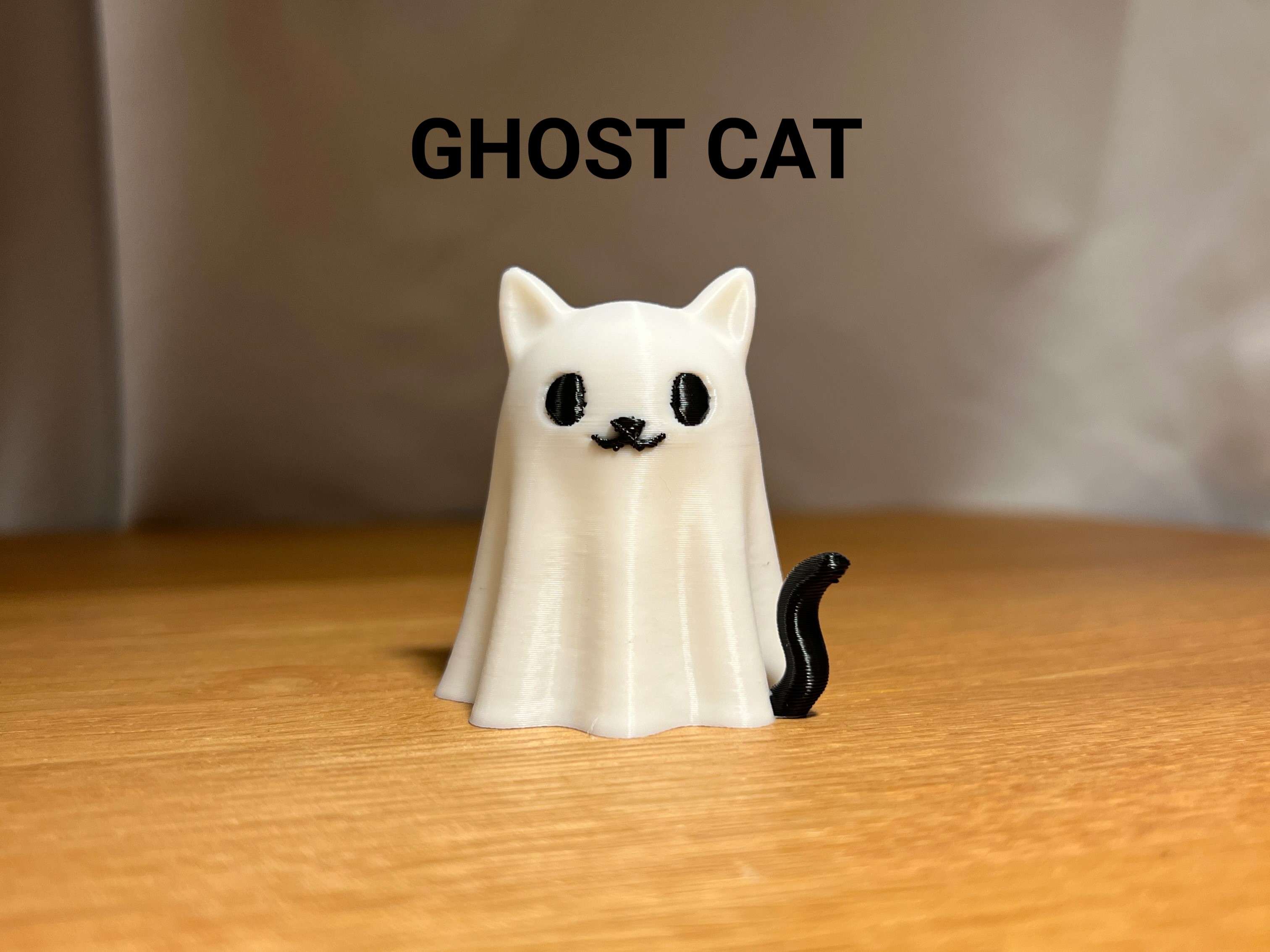 Ghost Cat