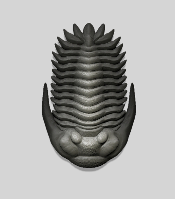 Greenops Trilobite 3D model by DragonArtist15