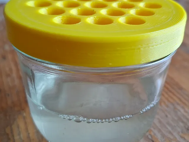 Fruit Fly Trap Lid for TO82 Jars – 19 Funnels, No Supports