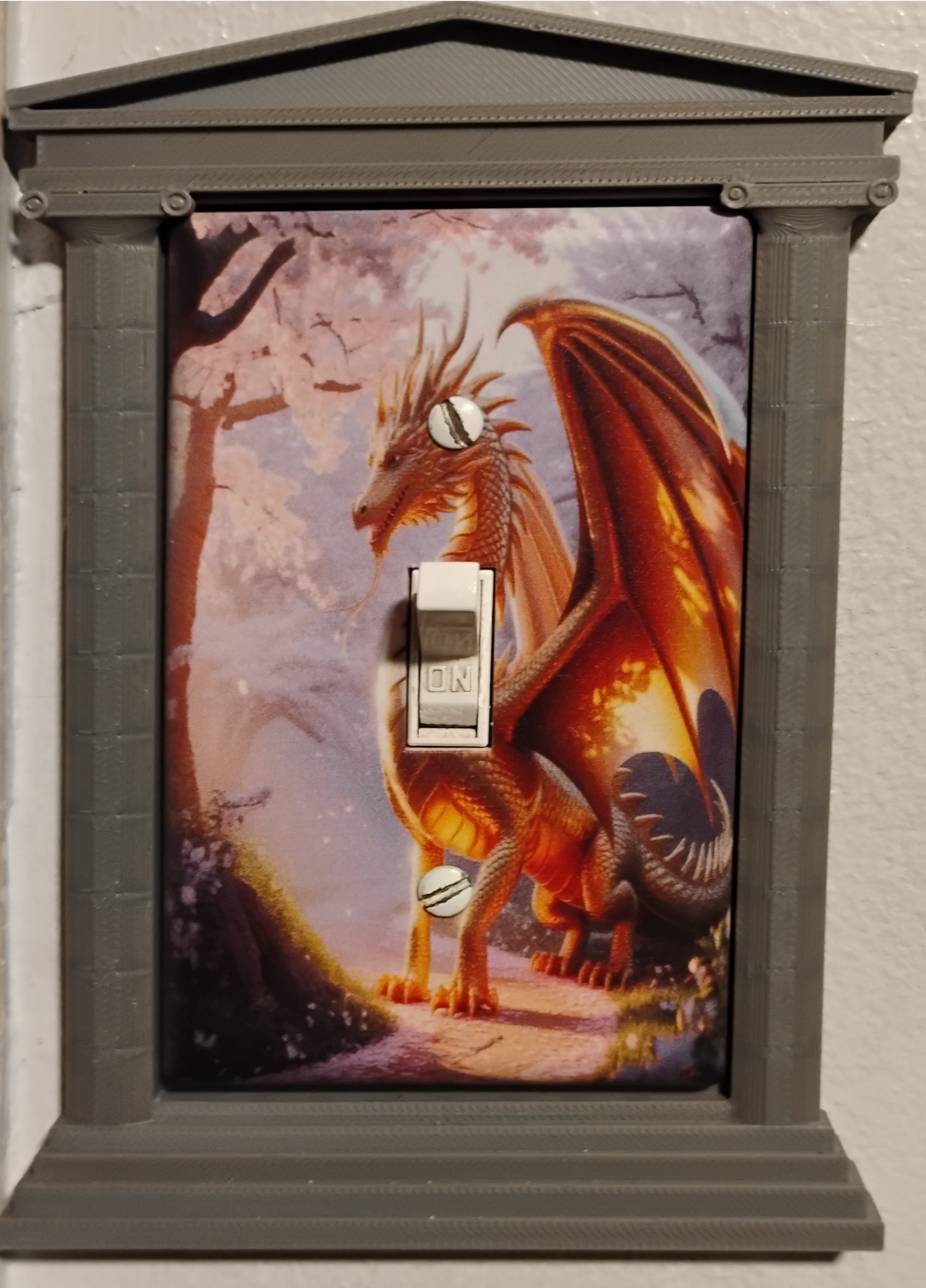 SWITCH PLATE SURROUND