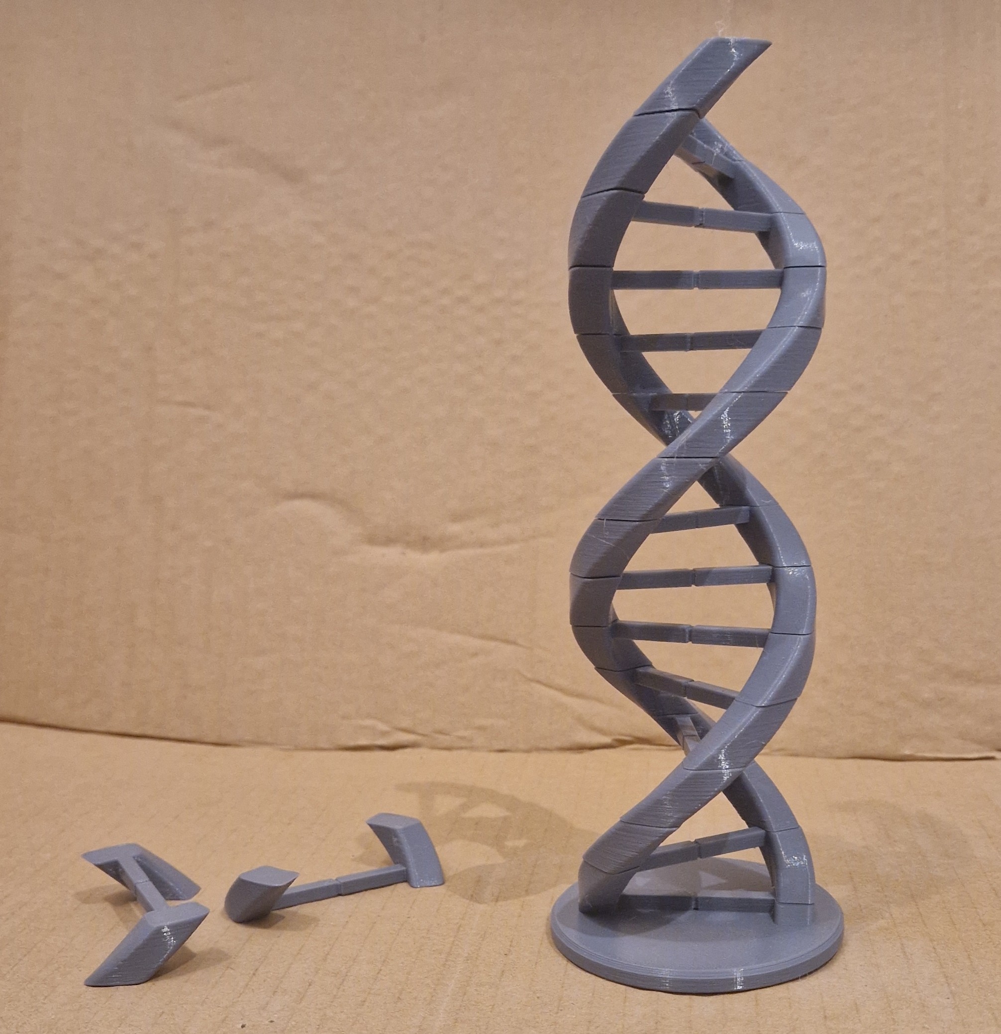 DNA Balancing Game