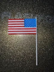 Miniature American Flag