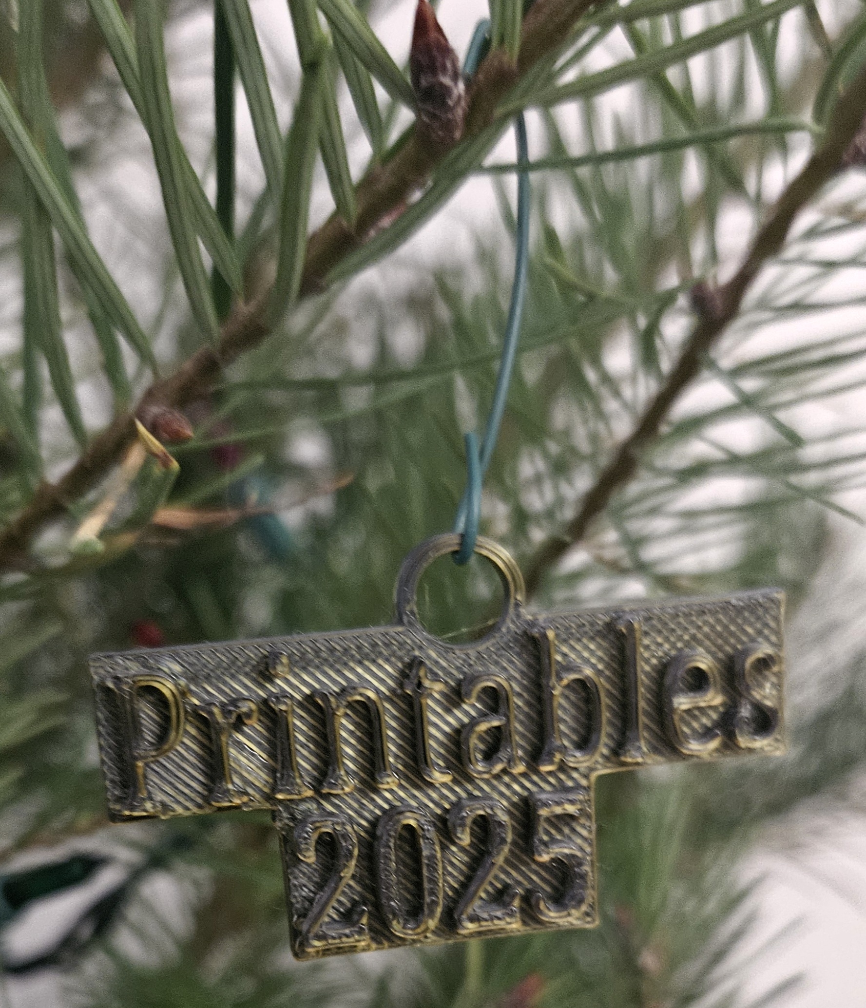 Printables 2025 Ornament