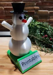 Christmas Snowman building kit with sign
