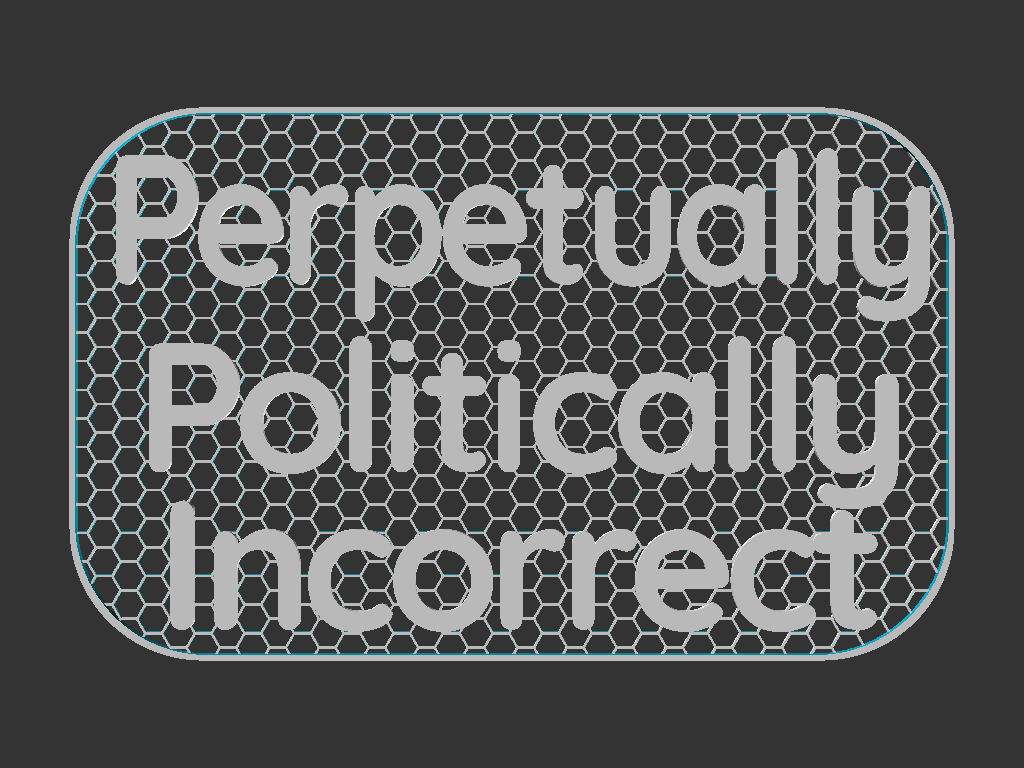 Politically Incorrect sign — thumbnail 3